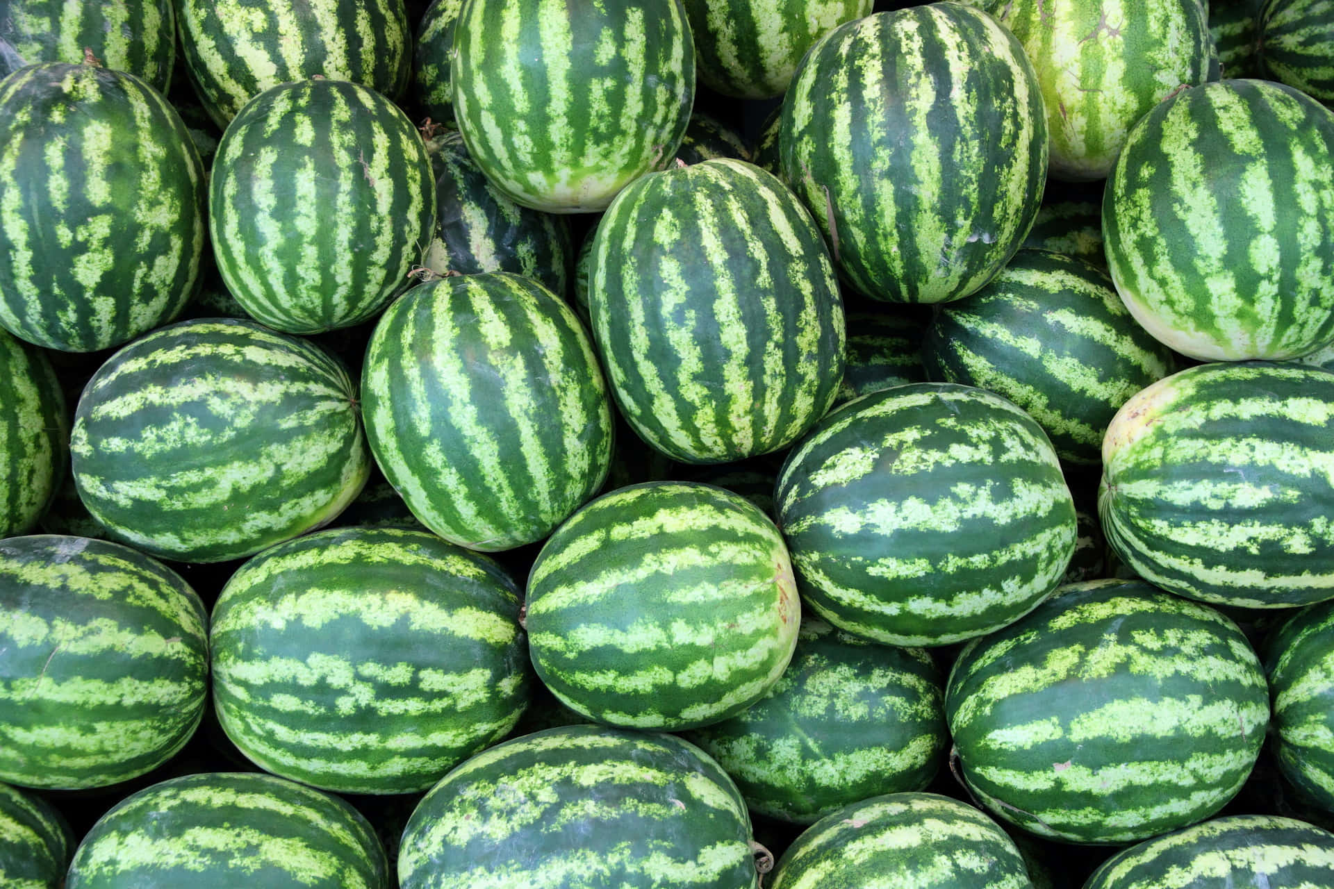Watermelon 桌布 壁紙 — 成熟西瓜堆疊在一起的鮮明特寫，展示其綠色條紋外皮。