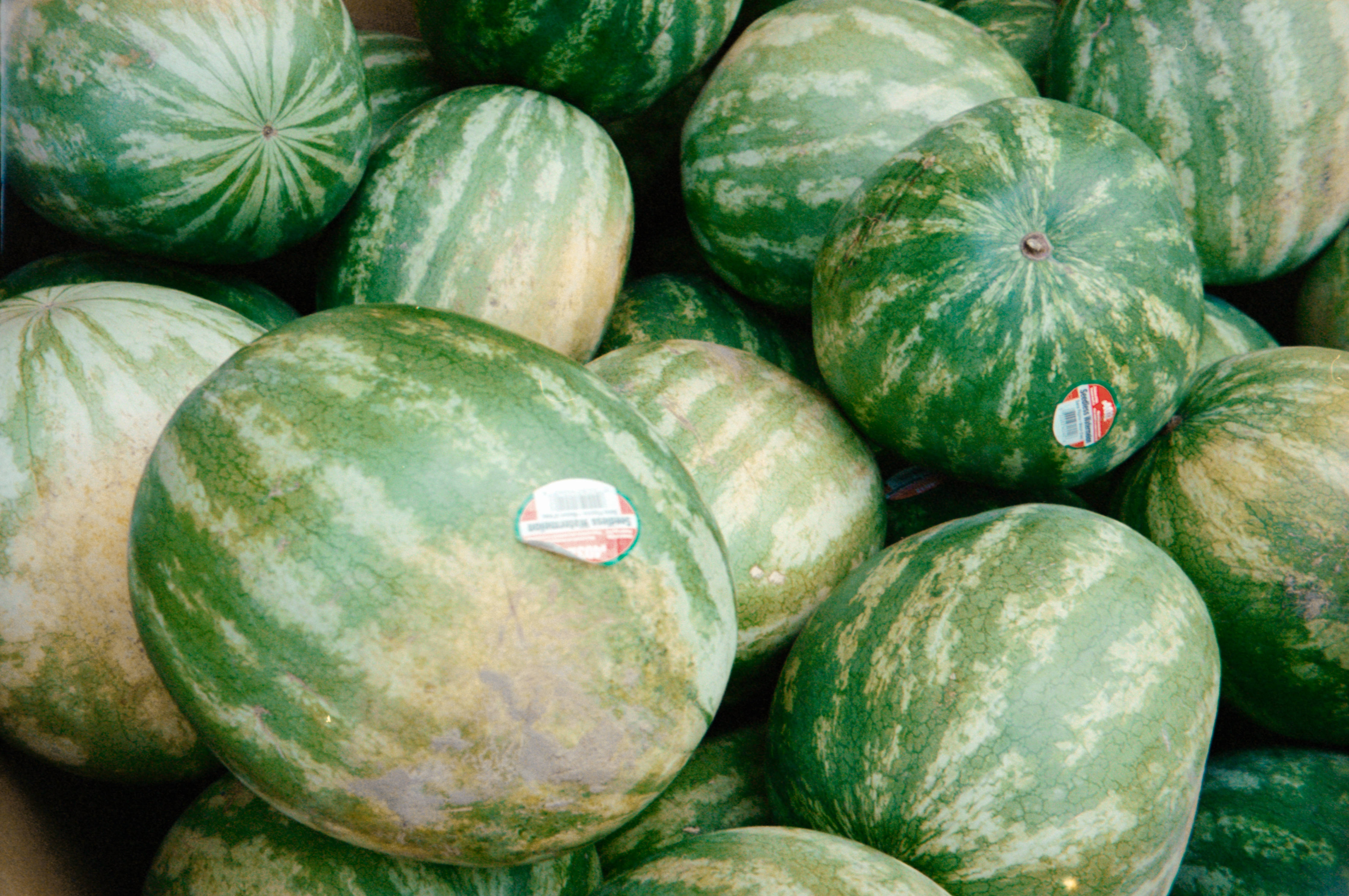 Watermelon 桌布 壁紙 — 成熟西瓜的特寫照片，綠色條紋外皮堆疊在市場展示中。