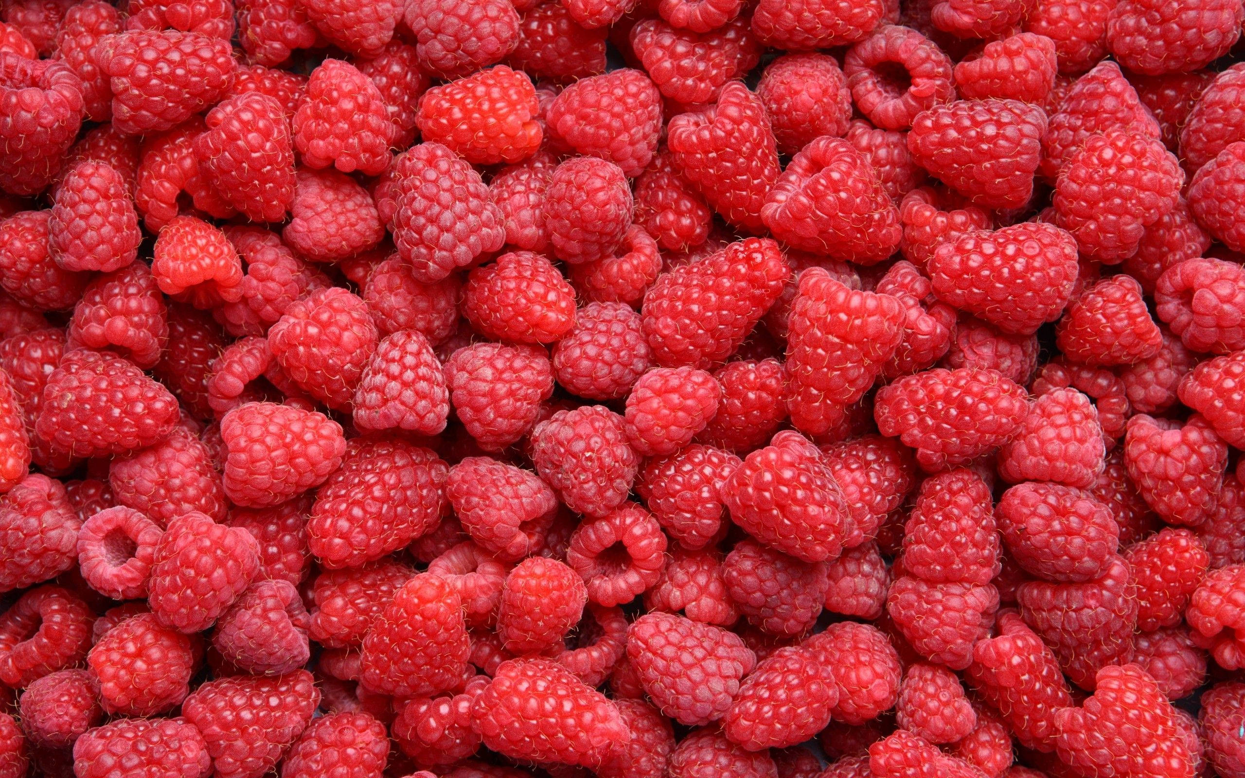 Berry 桌布 壁紙 — 成熟飽滿的覆盆子特寫，充滿鮮紅多汁的顏色和紋理分明的小核果。