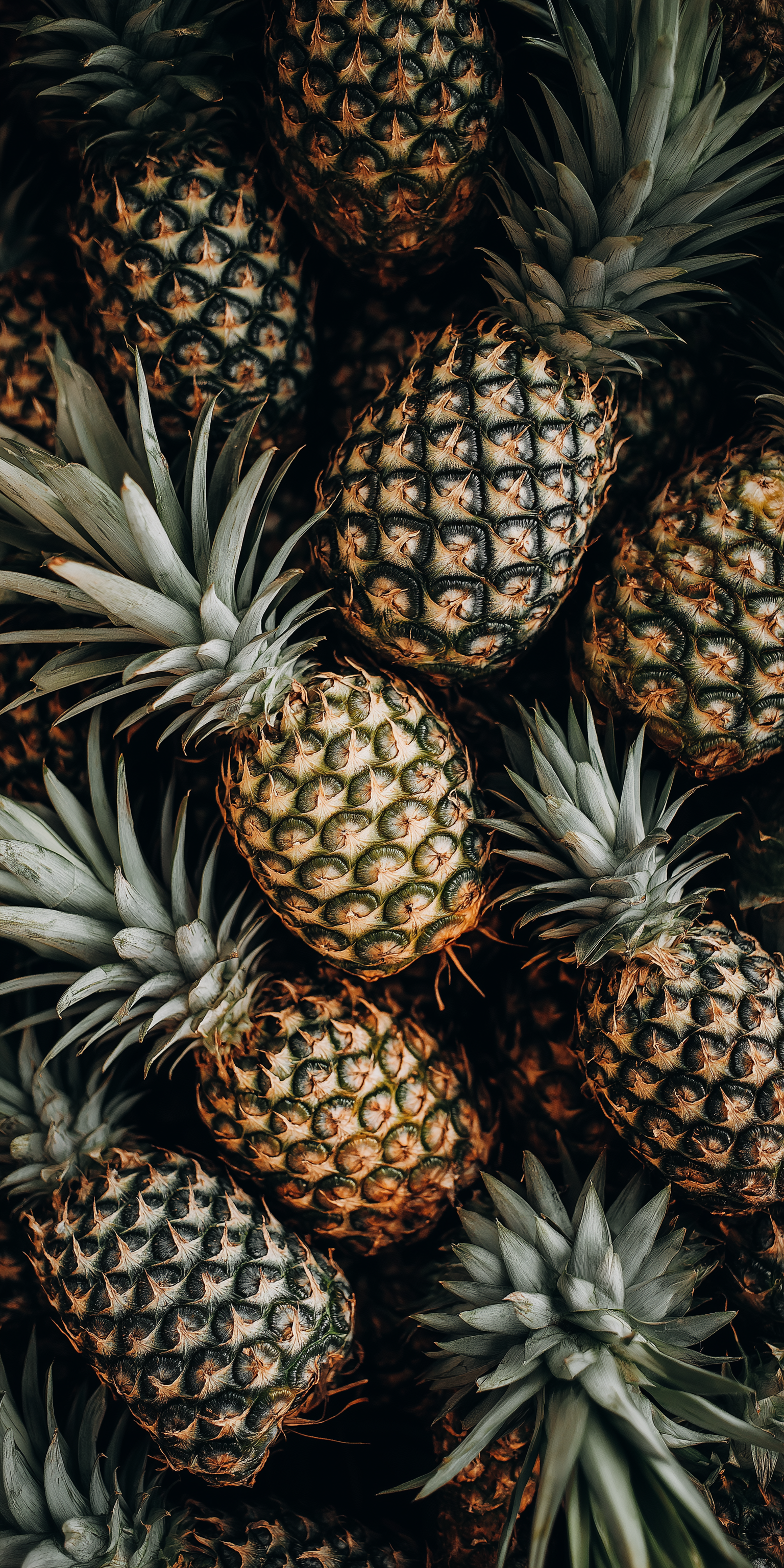 Fruit 桌布 壁紙 — 成熟鳳梨的特寫，有紋理的金棕色外皮和尖刺綠色冠部緊密聚集。