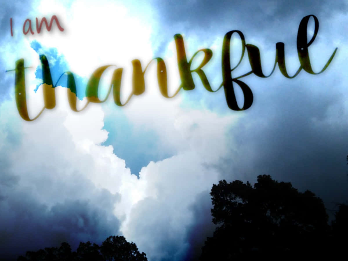 Thankful 桌布 壁紙 — 「我心存感激」這句話以彩色字體漂浮在戲劇性的多雲天空和下方的樹木剪影之上。