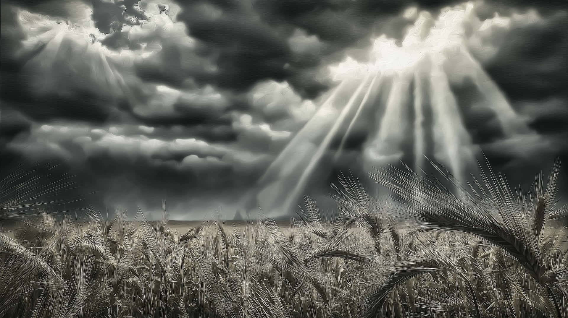 Dramatic Wheat Field Landscape with Sunrays and Stormy Sky 壁紙 — 戲劇性的光線穿透黑暗的暴風雲，照耀在廣闊的金色麥田之上。