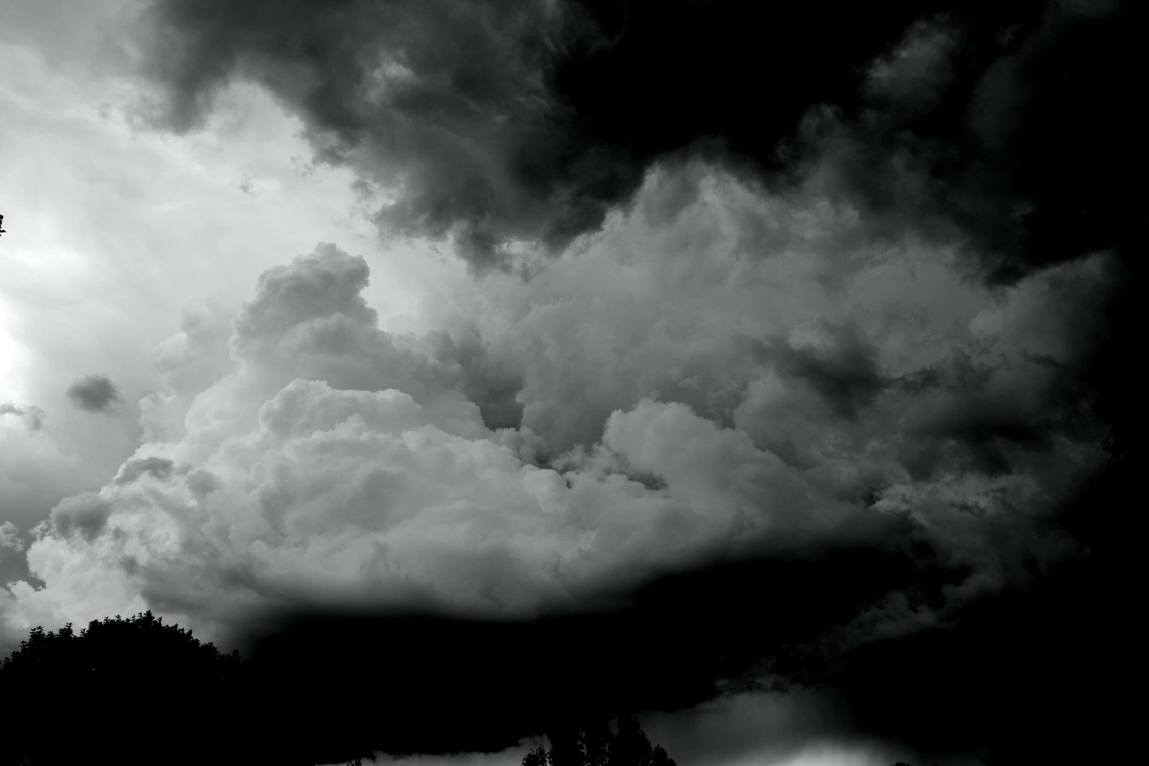 Black And White Storm 桌布 壁紙 — 戲劇性的單色雲在暴風雨的天空下在黑暗的樹線上翻騰。