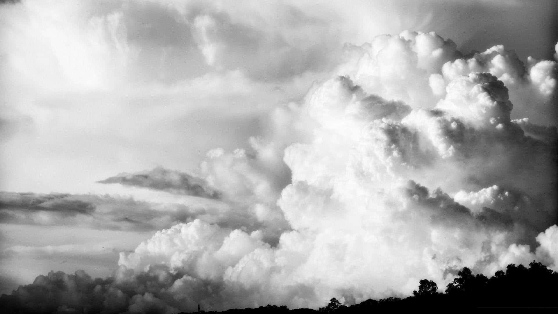 Black And White Cloud 桌布 壁紙 — 戲劇性的單色雲層聳立在黑暗的樹線之上，形成高對比度的天空。