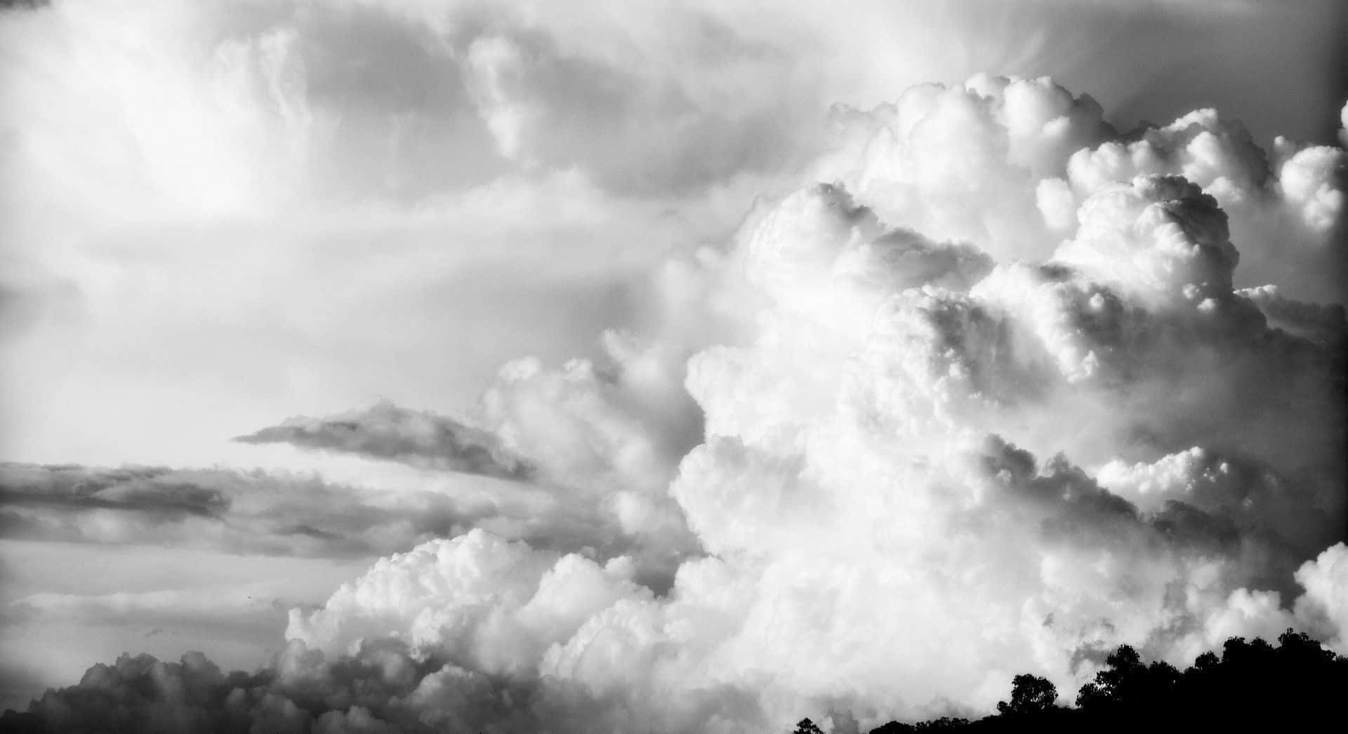 Black And White Sky 桌布 壁紙 — 戲劇性的單色雲朵在深色樹線剪影襯托下，展現紋理與深度。