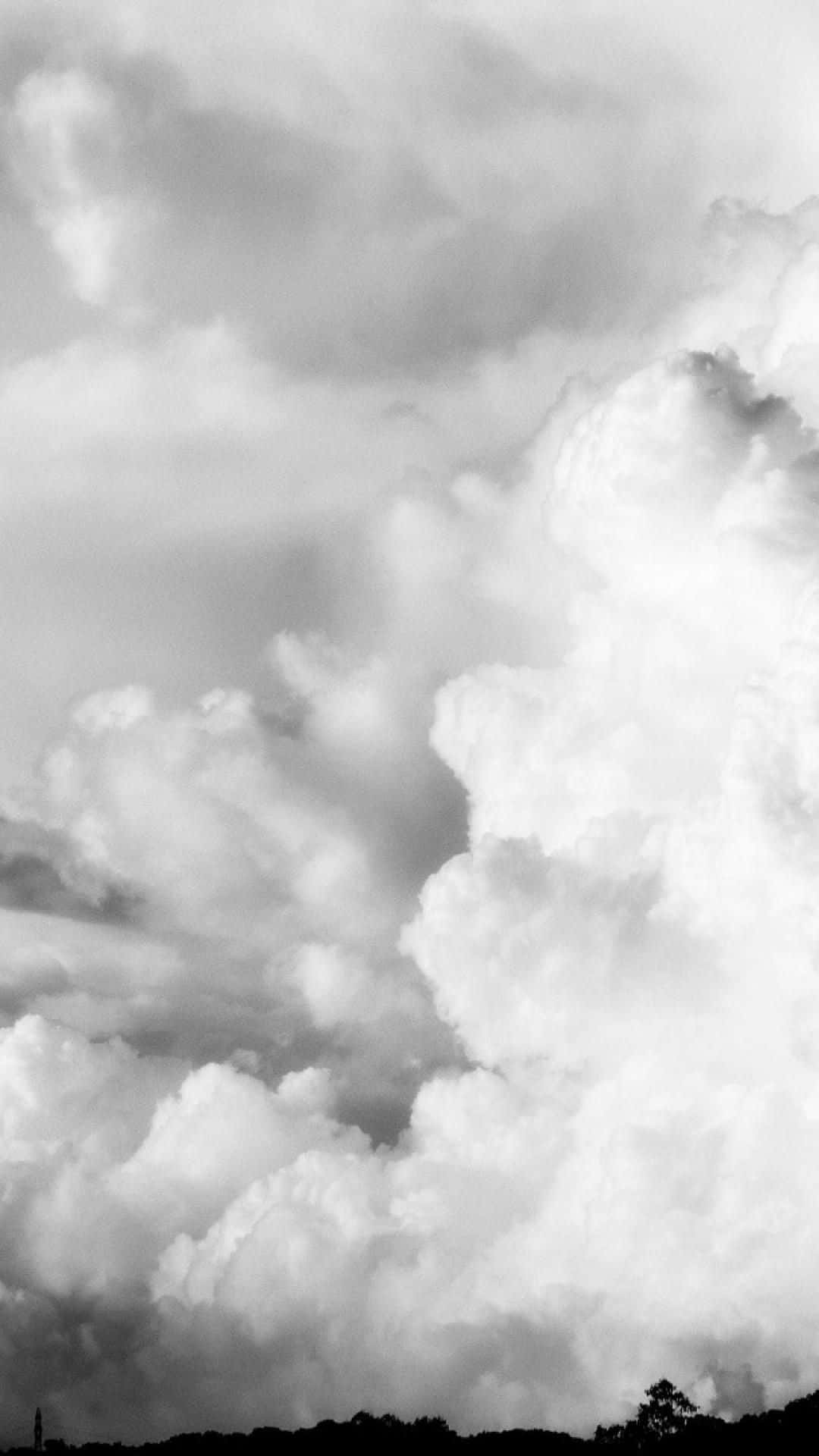 Black And White Sky 桌布 壁紙 — 戲劇性的單色雲朵在頭頂翻滾湧動，與深色樹線剪影形成鮮明對比。