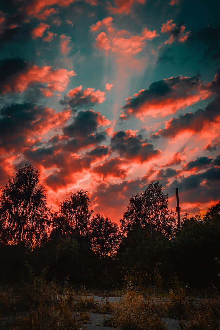 Autumn Evening 桌布 壁紙 — 戲劇性的日落，火紅的雲彩和陽光穿透黑暗的樹木剪影。