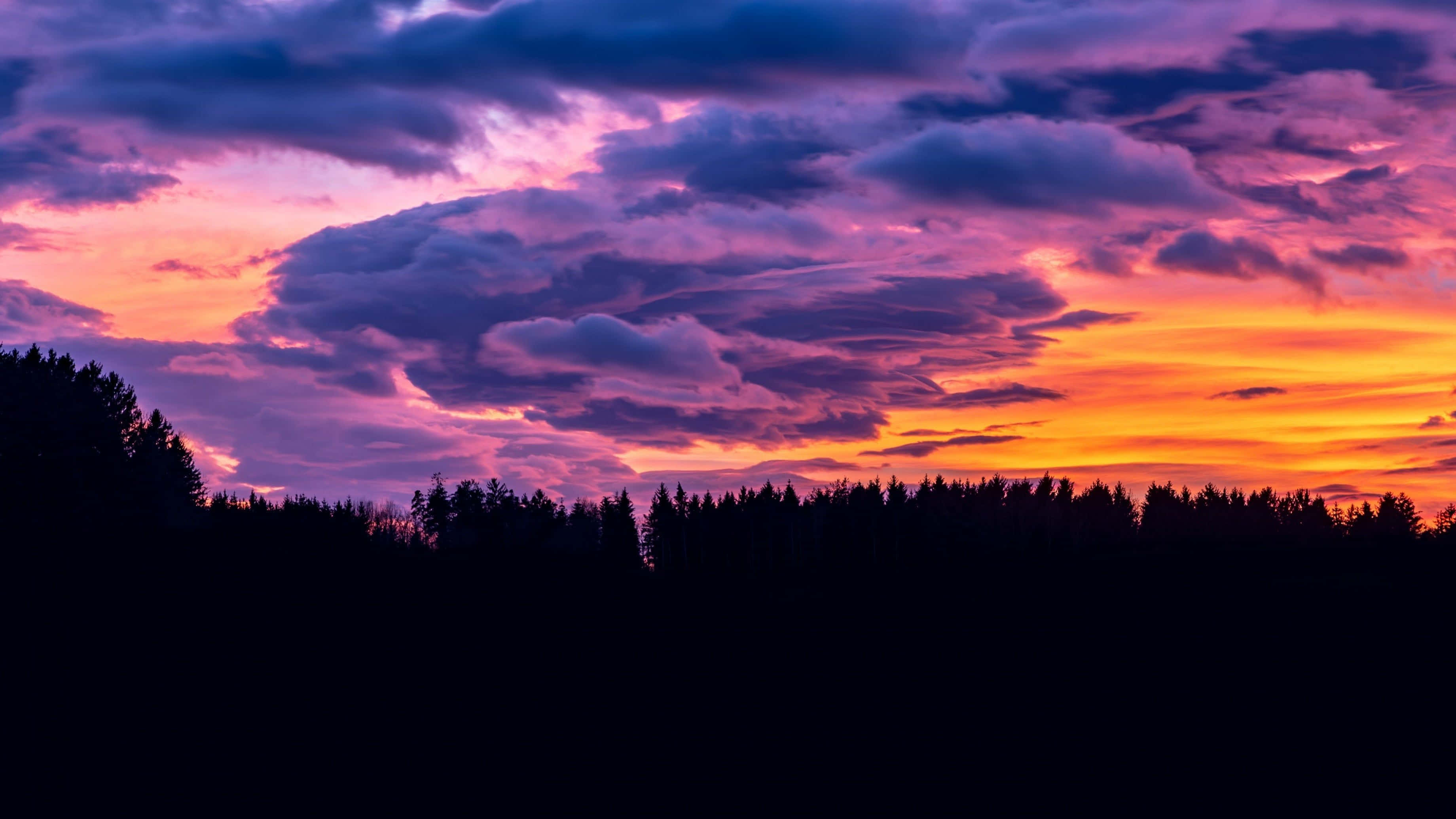 Beautiful Sky 桌布 壁紙 — 戲劇性的日落以火橙色和深紫色雲彩在黑暗森林輪廓上方繪製天空。