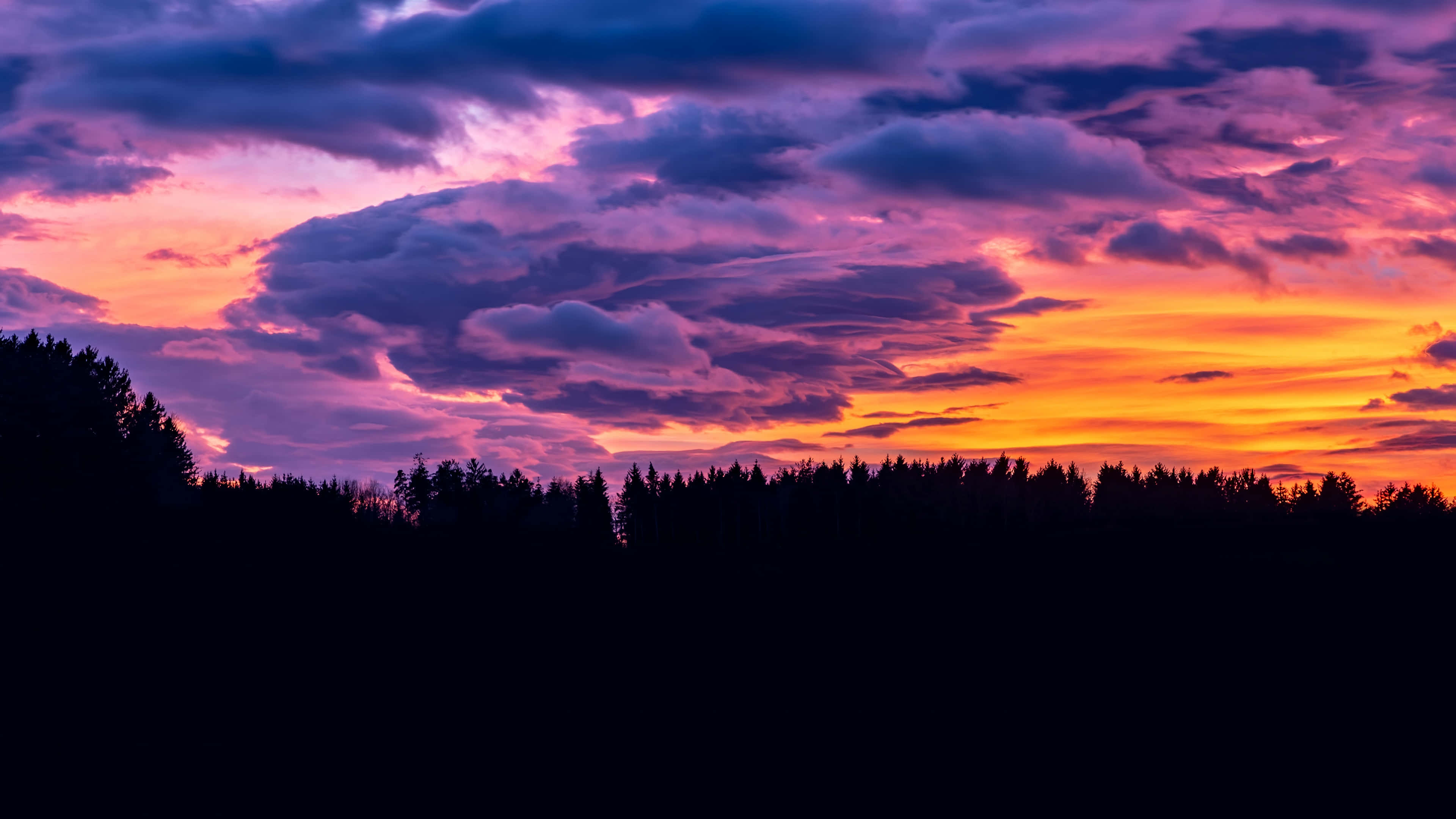 Clouds Aesthetics 桌布 壁紙 — 戲劇性的日落以火熱的橙色和深紫色雲彩在黑暗的森林剪影上方描繪天空。