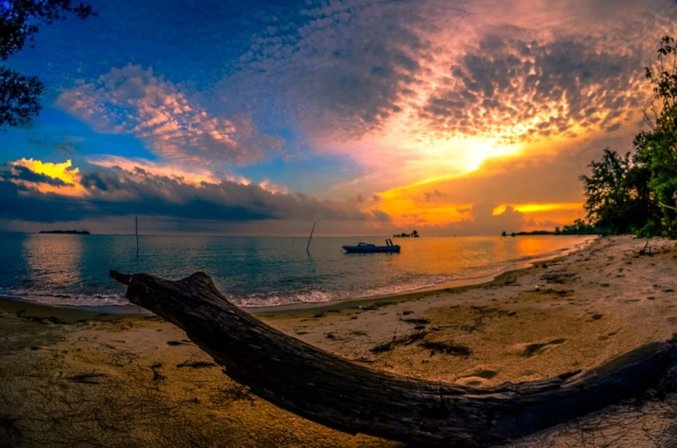 Sunset Beach 桌布 壁紙 — 戲劇性的日落將天空染成火熱的橙色和深藍色，映照在寧靜的海灘上，前景有一艘孤獨的小船和一根風化的漂流木。
