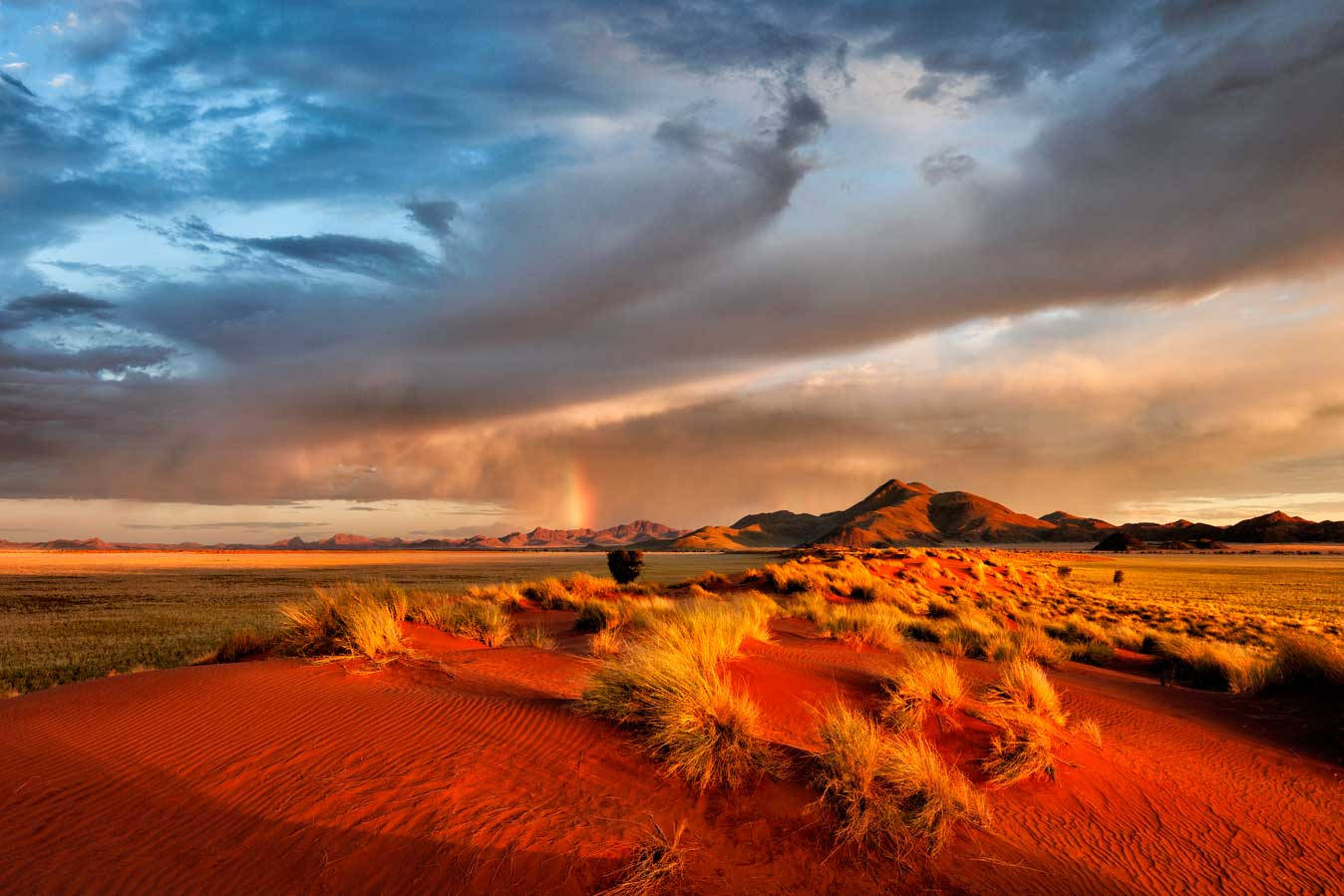 Arizona 桌布 壁紙 — 戲劇性的沙漠日落，橙色沙丘和彩虹在風暴雲下的遠山上方拱起。