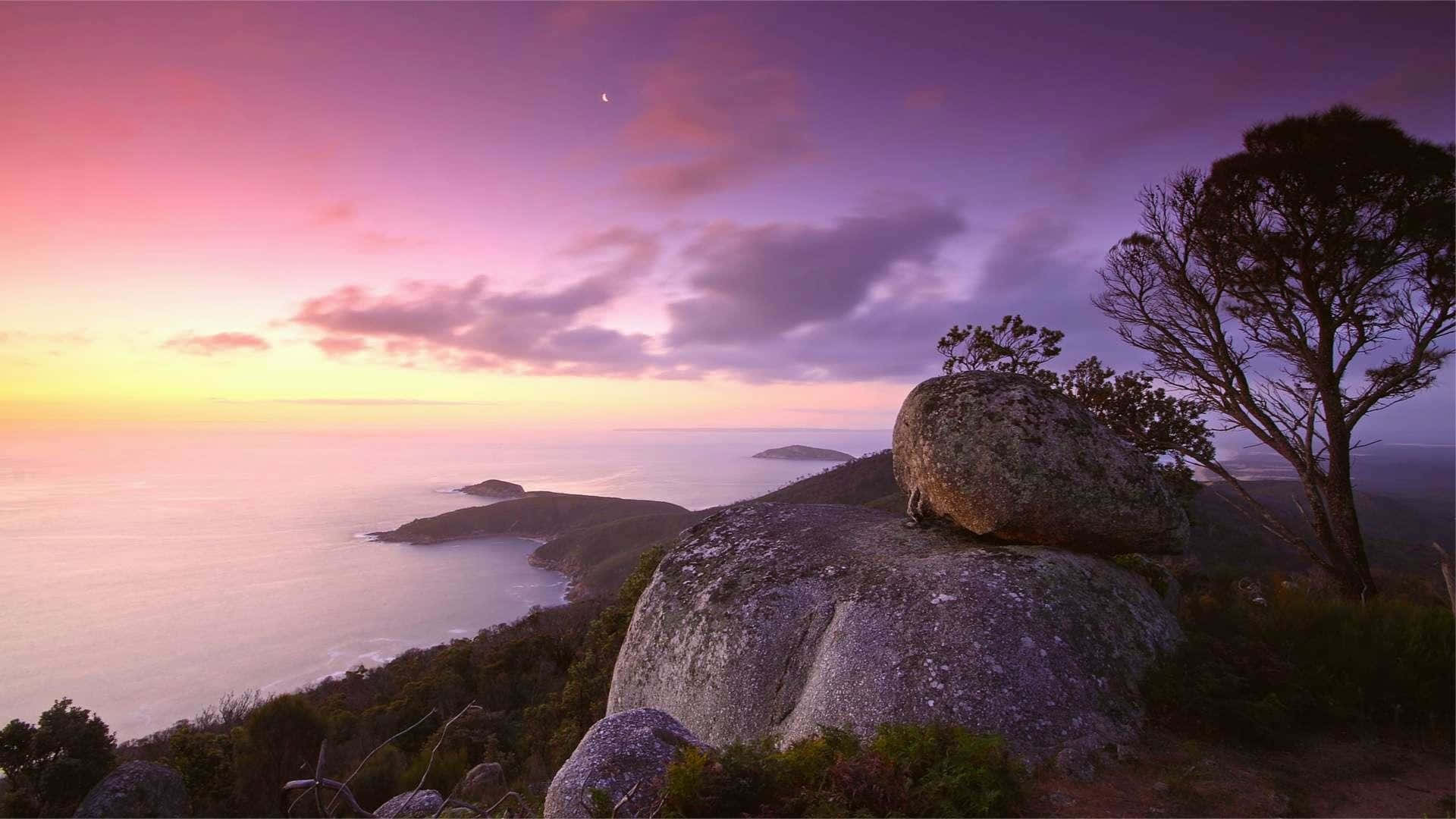 樹木 桌布 壁紙 — 戲劇性的海岸日落，粉紅色、紫色和金色的天空映照著海洋懸崖和巨石，還有一棵孤獨的樹。