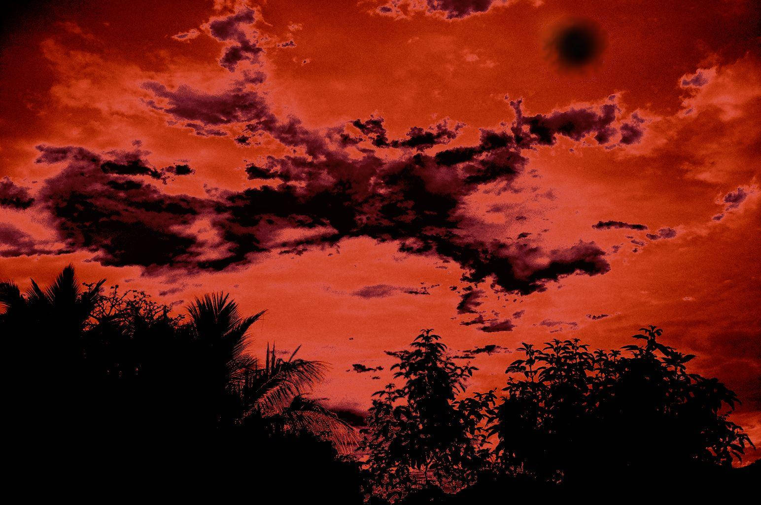 Tsukuyomi 桌布 壁紙 — 戲劇性的紅色天空，烏雲勾勒出棕櫚樹和樹葉的剪影，在黃昏時分。