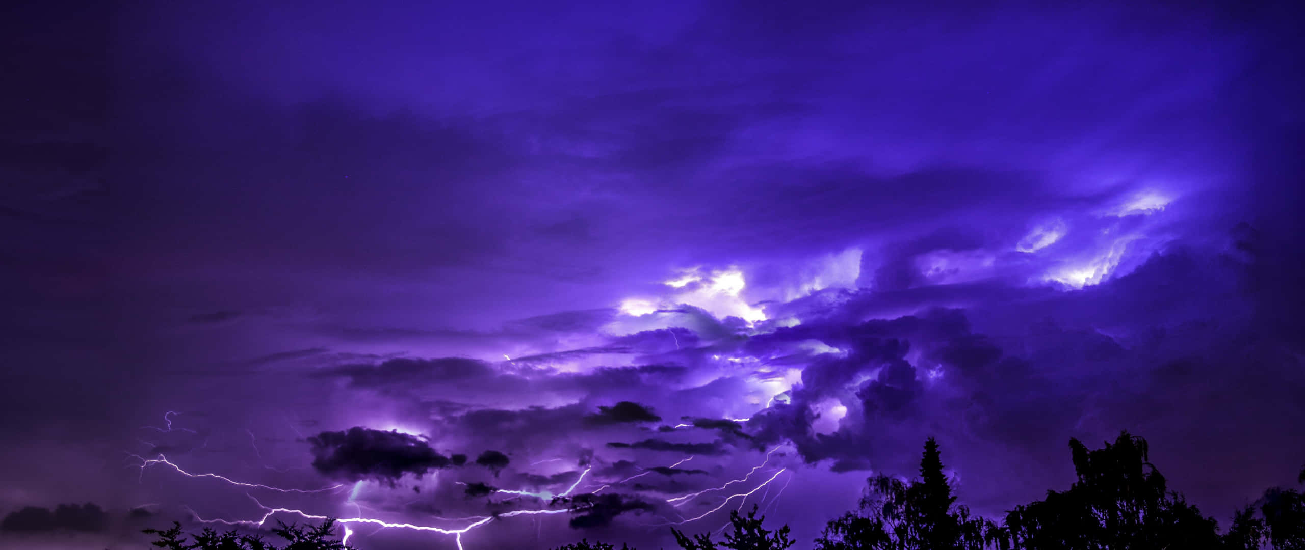 Purple Lightning 桌布 壁紙 — 戲劇性的紫色暴風雨天空閃爍著生動的閃電，照亮了剪影樹梢上方的烏雲。