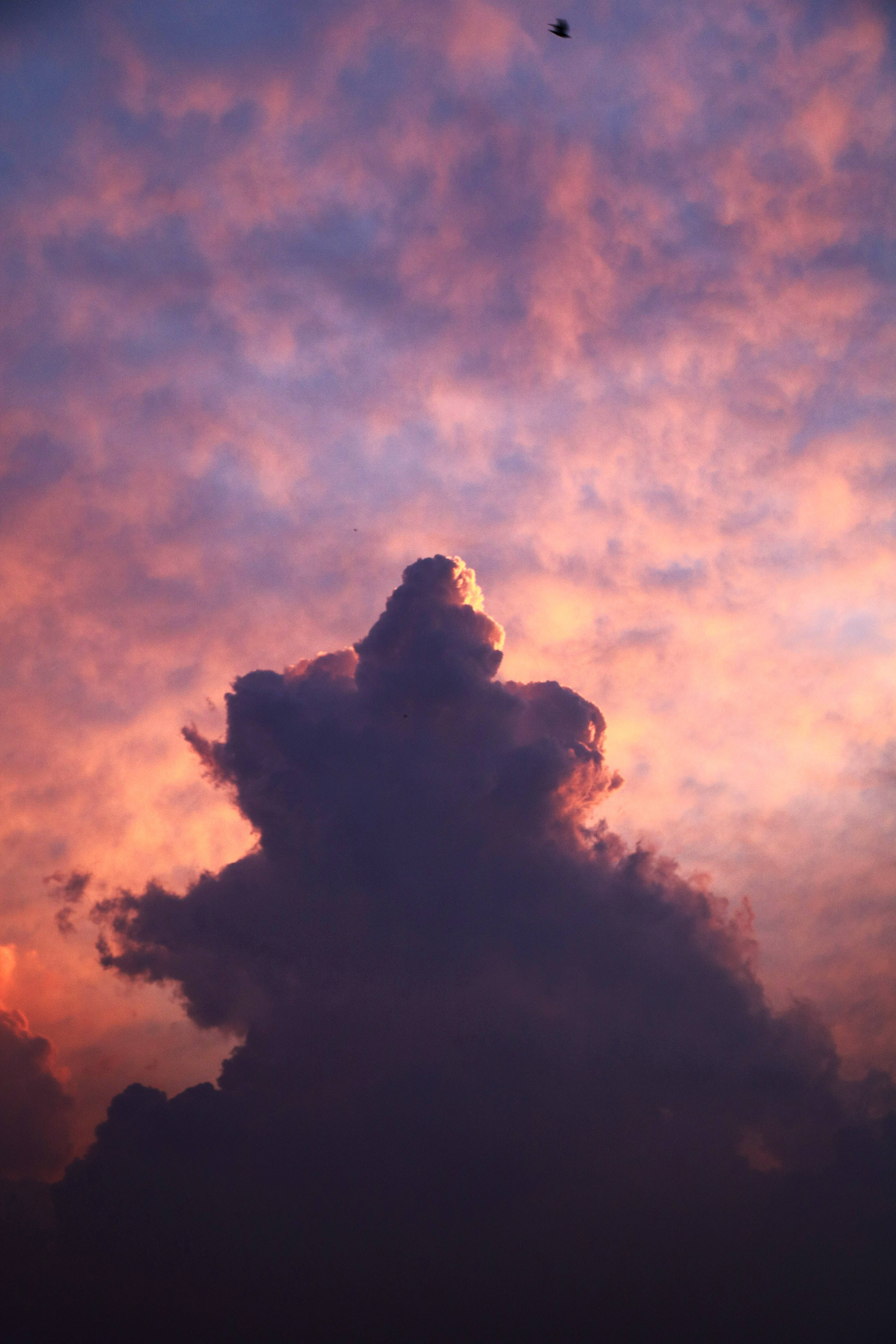 Cloud 桌布 壁紙 — 戲劇性的雲層在火紅的日落天空中形成剪影，一隻孤鳥在上方翱翔。