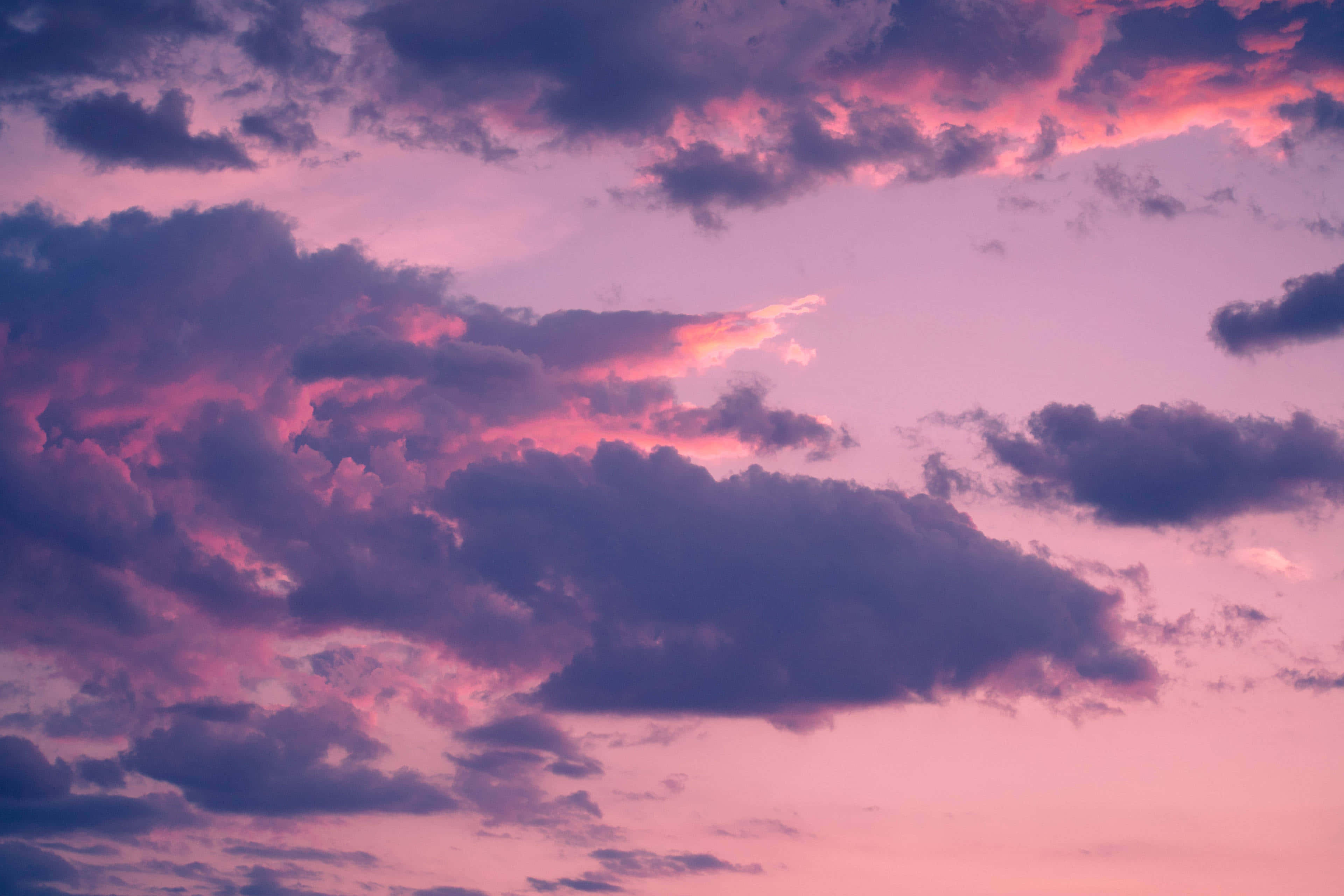 Aesthetic Cloud 桌布 壁紙 — 戲劇性的雲彩帶有粉紅色和紫色的條紋，在暮色天空中閃耀。