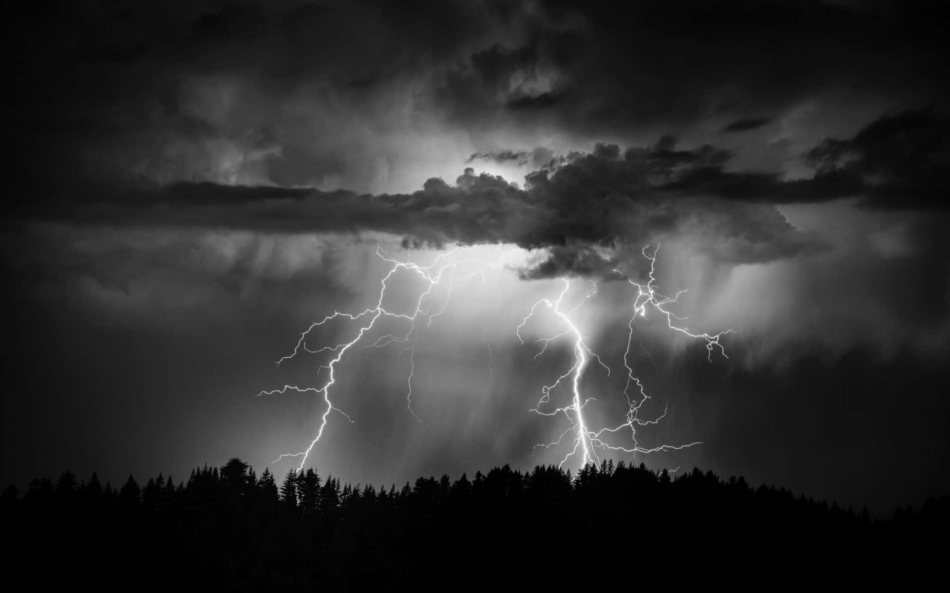 Thunderstorm 桌布 壁紙 — 戲劇性的黑白閃電劃破暴風雨的天空，映襯著黑暗的森林輪廓。