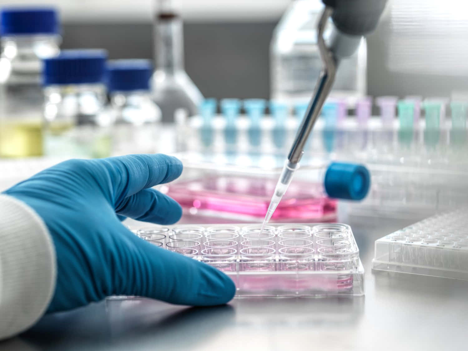 科學 桌布 壁紙 — 戴手套的手在現代實驗室環境中精確地使用移液器將粉紅色液體轉移到微孔板中。