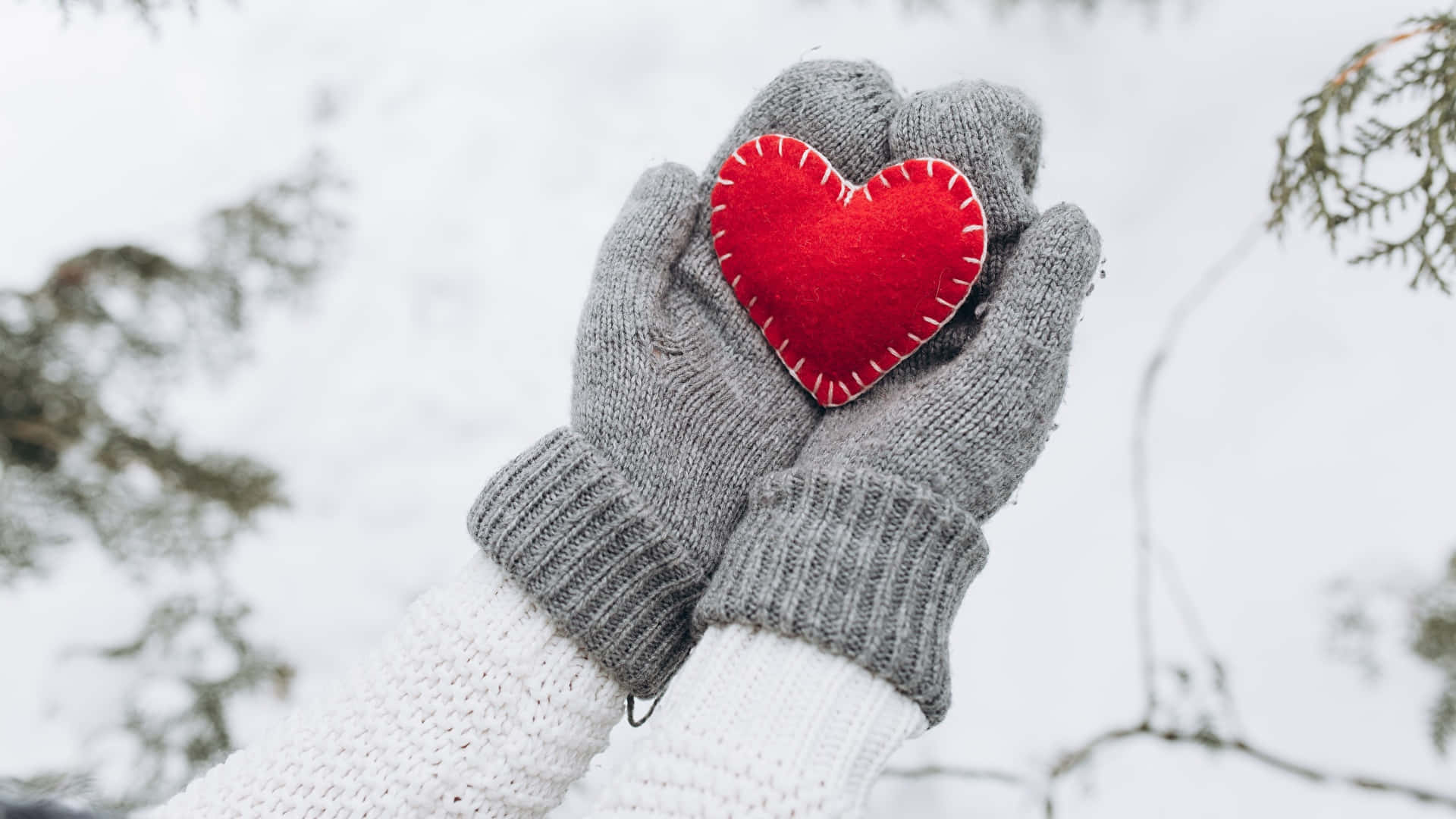 Mittens 桌布 壁紙 — 戴手套的雙手在白雪皚皚的冬日背景中，懷抱著一個紅色氈製心形，周圍有常青樹枝。