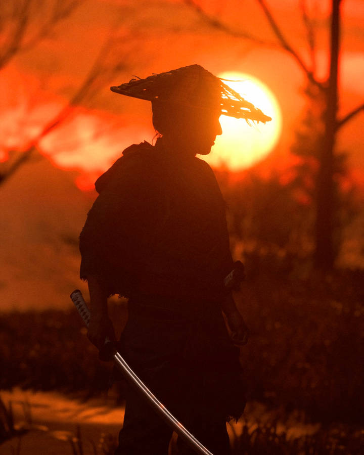 武士動畫 桌布 壁紙 — 戴草帽持劍的武士剪影，站在光禿樹木後方熾熱橙色夕陽前。