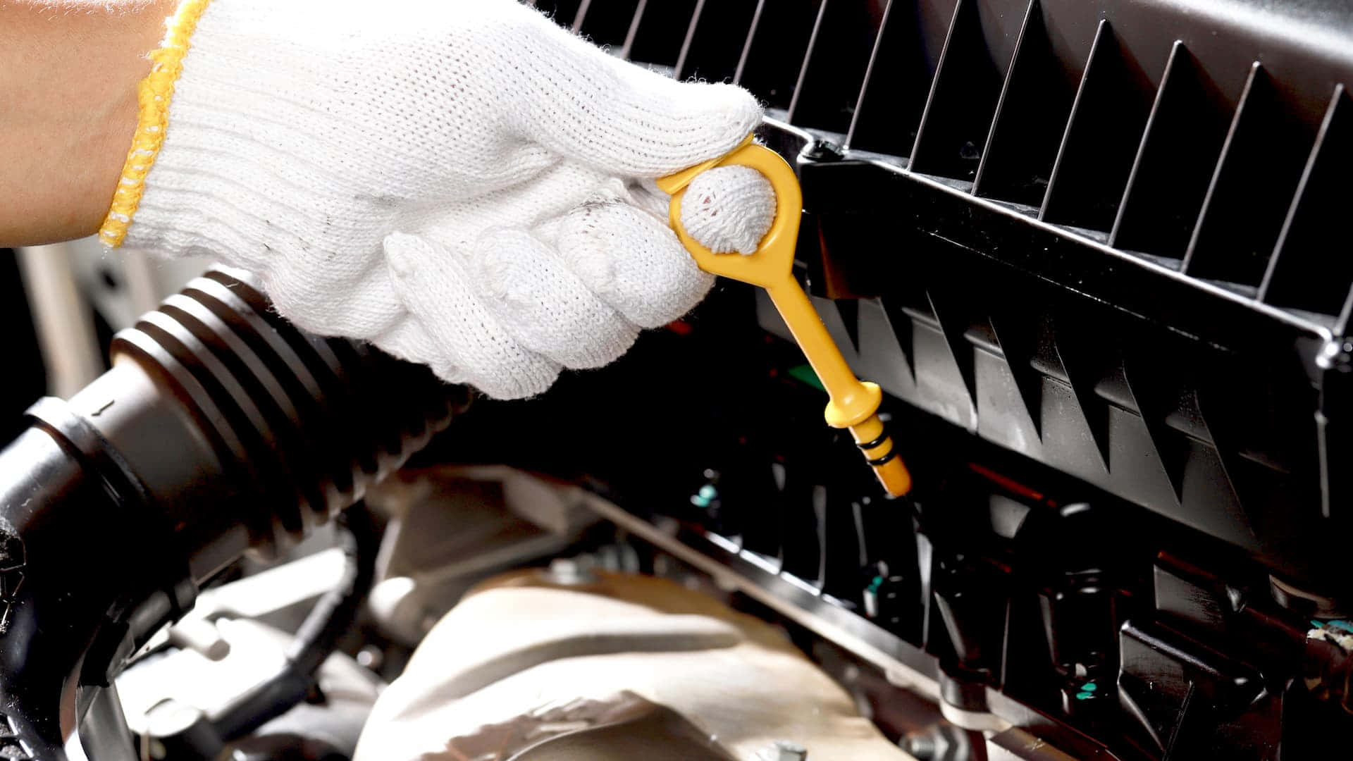 Engine Oil 桌布 壁紙 — 戴著手套的手使用黃色機油濾清器扳手，在明亮的日光下拆卸汽車引擎部件。
