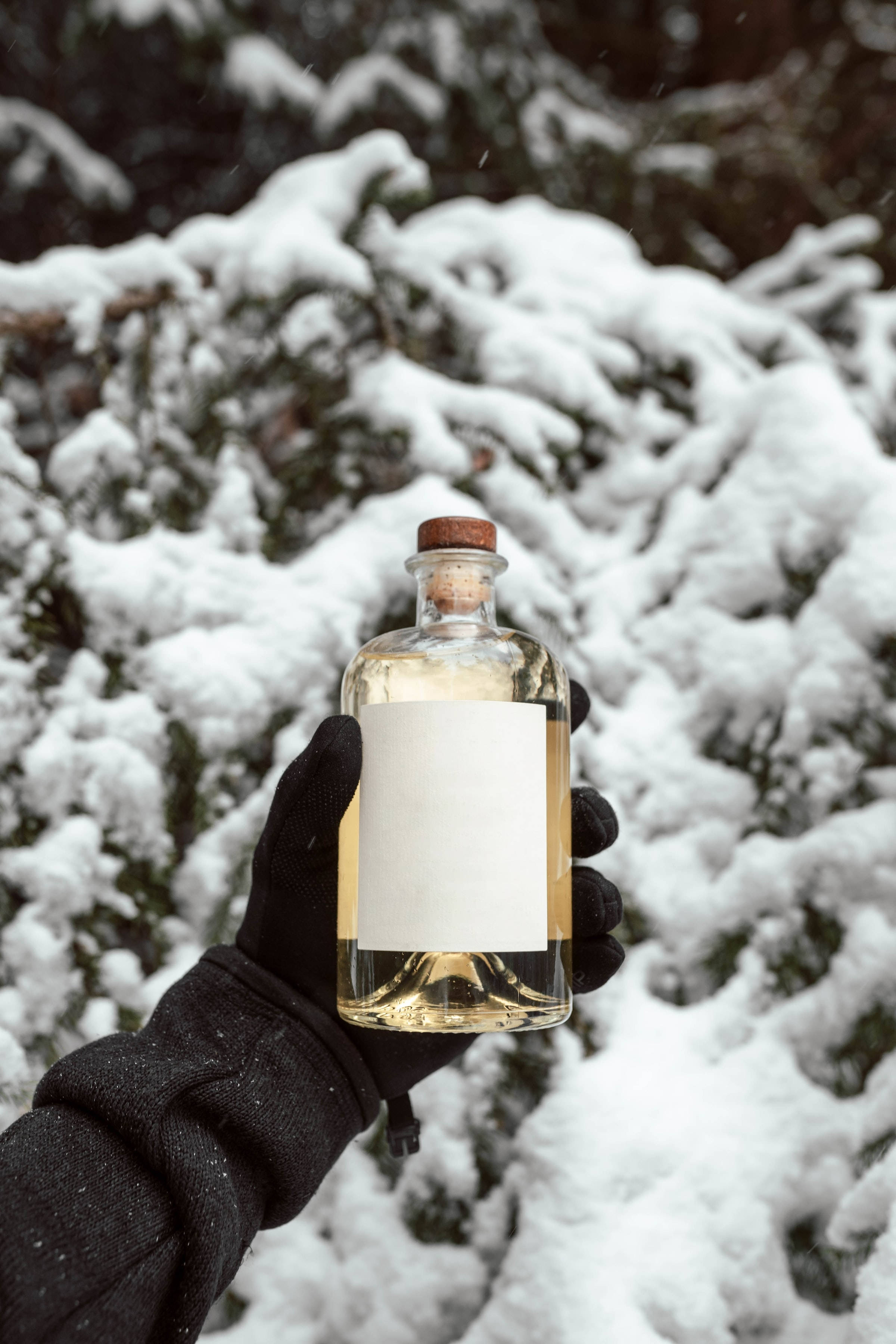 drinks 桌布 壁紙 — 戴著手套的手在冬季雪地常綠樹背景下握著一瓶金色液體。