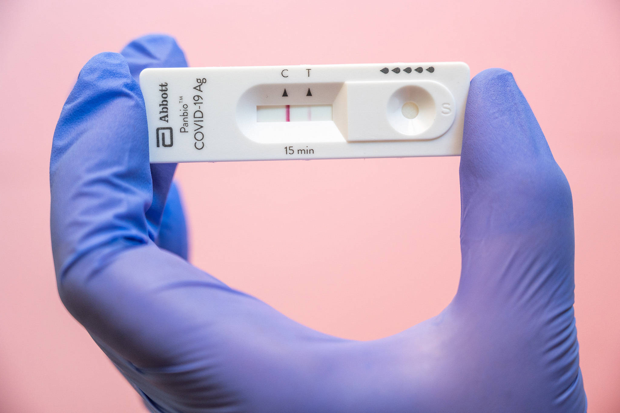 Health 桌布 壁紙 — 戴著手套的手拿著一個白色的Abbott COVID-19抗原測試棒，在柔和的粉紅色背景上顯示兩條粉紅色線條。