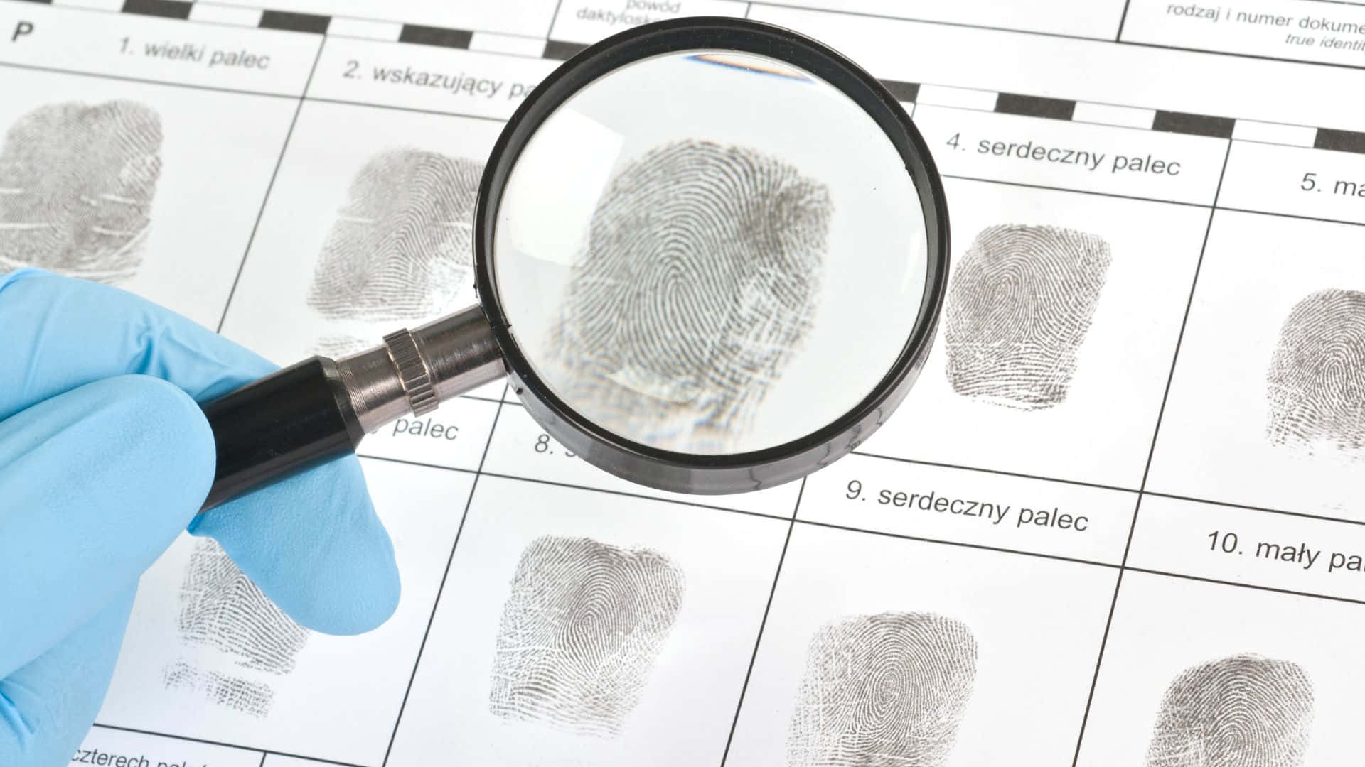 Fingerprint 桌布 壁紙 — 戴著手套的手拿著放大鏡放在指紋卡上，突出顯示詳細的脊線圖案。