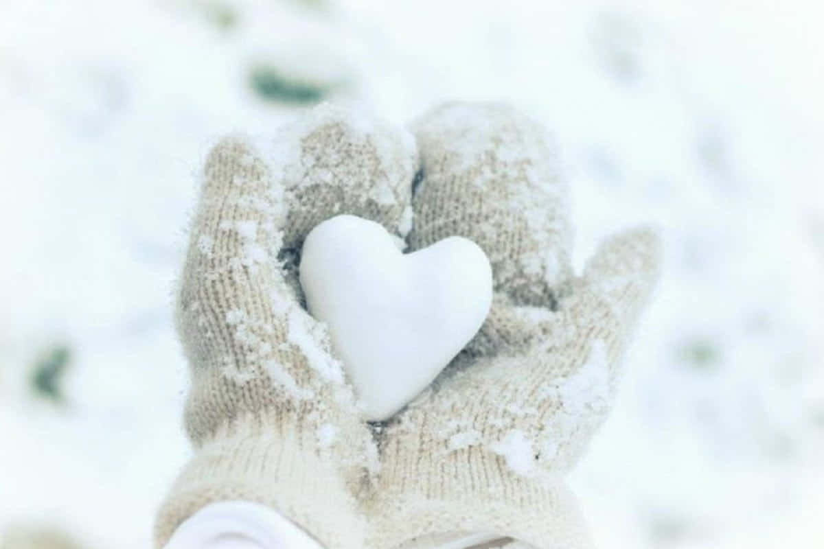 Mittens 桌布 壁紙 — 戴著手套的雙手在柔軟的雪景背景中捧著一個雪心心形。