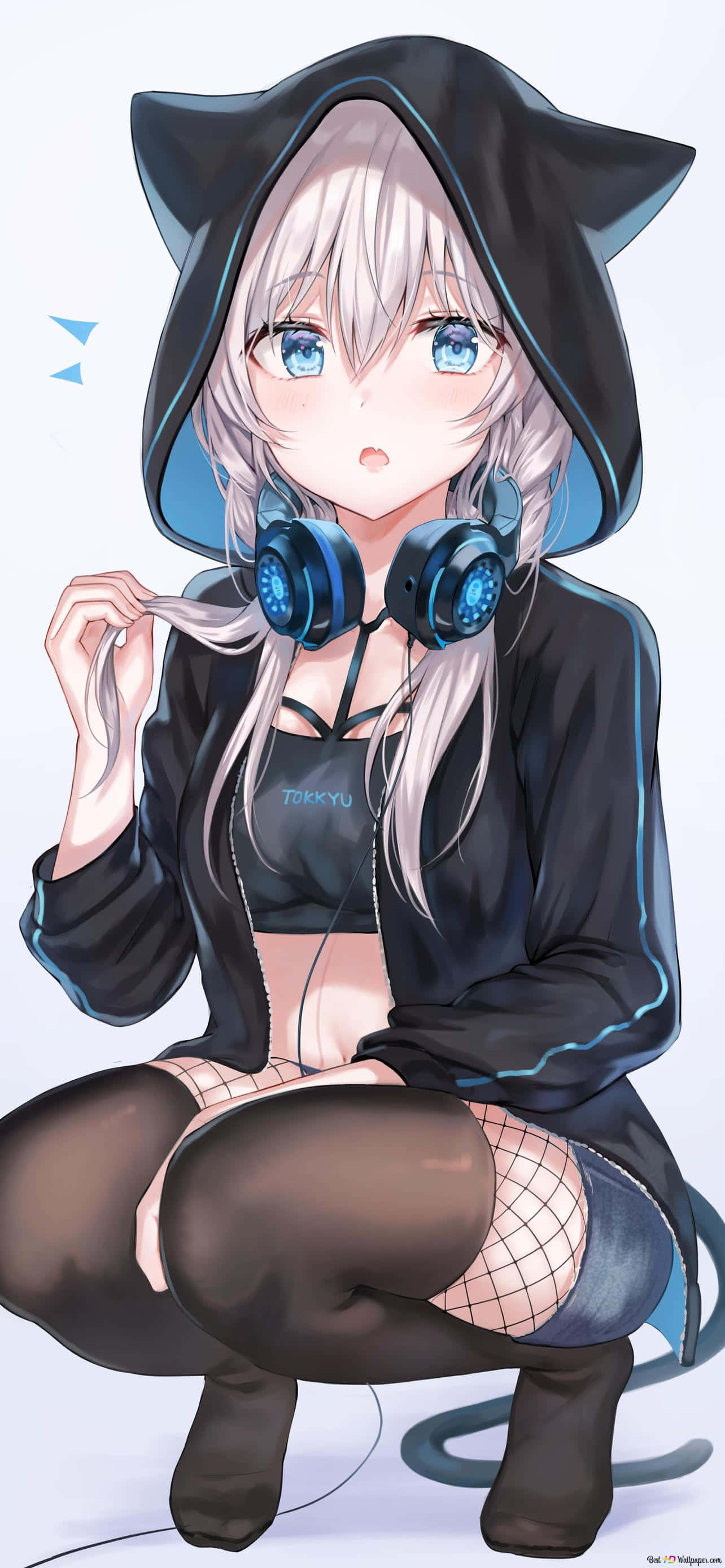 Anime White 桌布 壁紙 — 戴著貓耳和藍色耳機的動漫女孩，在純色背景前蹲在黑色連帽衫裡。