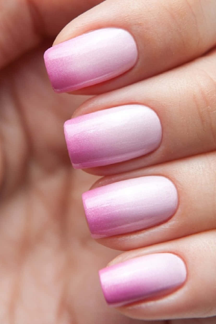 Pink Nail Art 桌布 壁紙 — 手上柔和粉紅漸變指甲的特寫，帶有平滑的漸變效果。