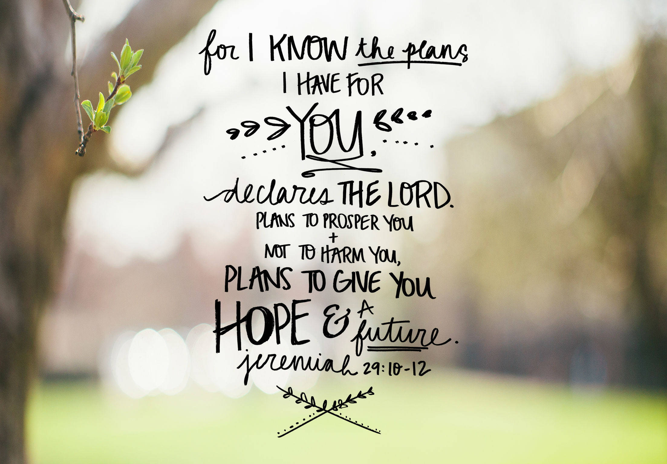 Bible Quotes 桌布 壁紙 — 手寫聖經經文，關於神對希望和未來的計劃，疊加在柔焦的春天花園場景上。