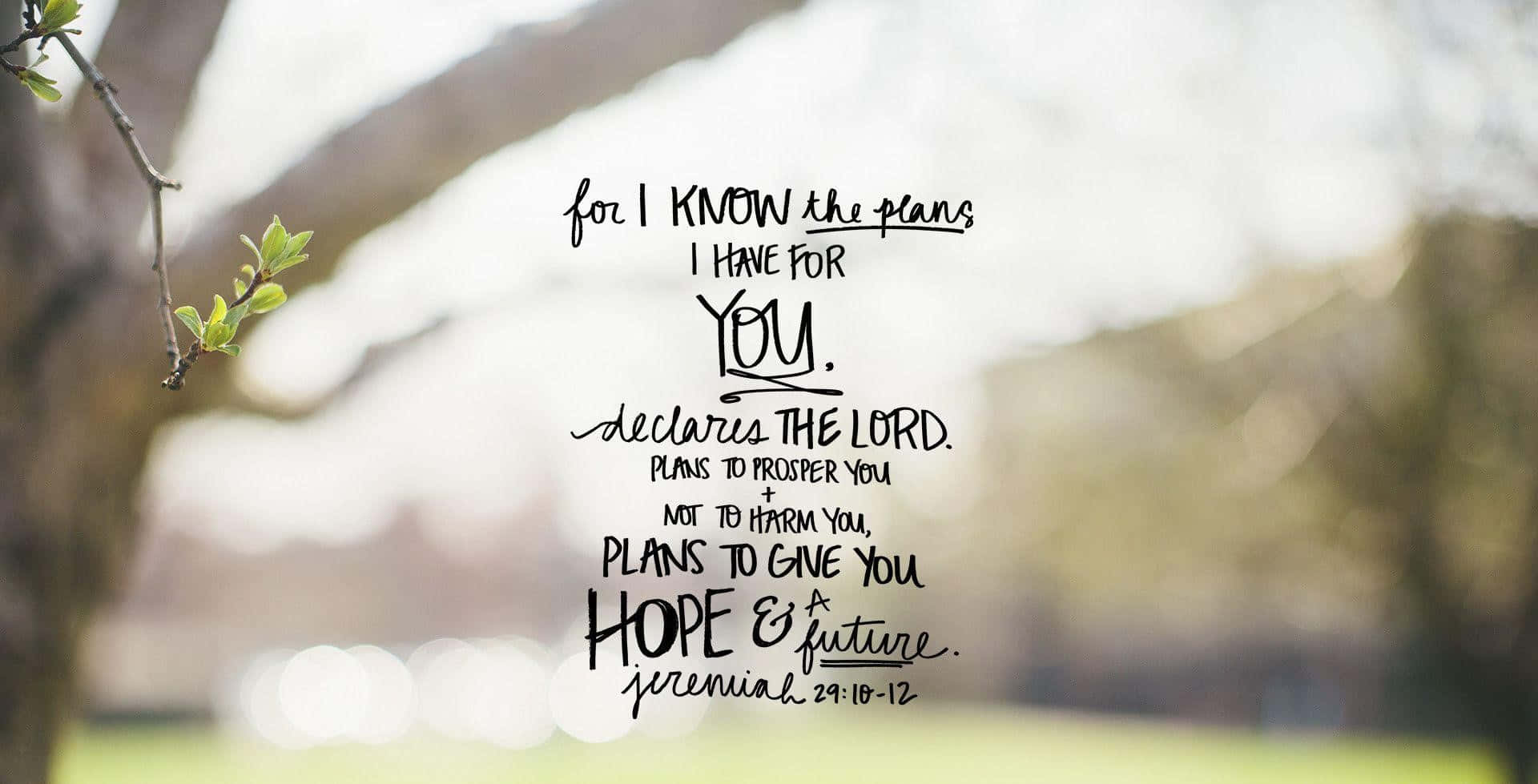 Cute Bible Verse 桌布 壁紙 — 手寫聖經經文疊加在柔焦的春天樹木上，帶有新鮮的綠葉和溫暖的陽光。