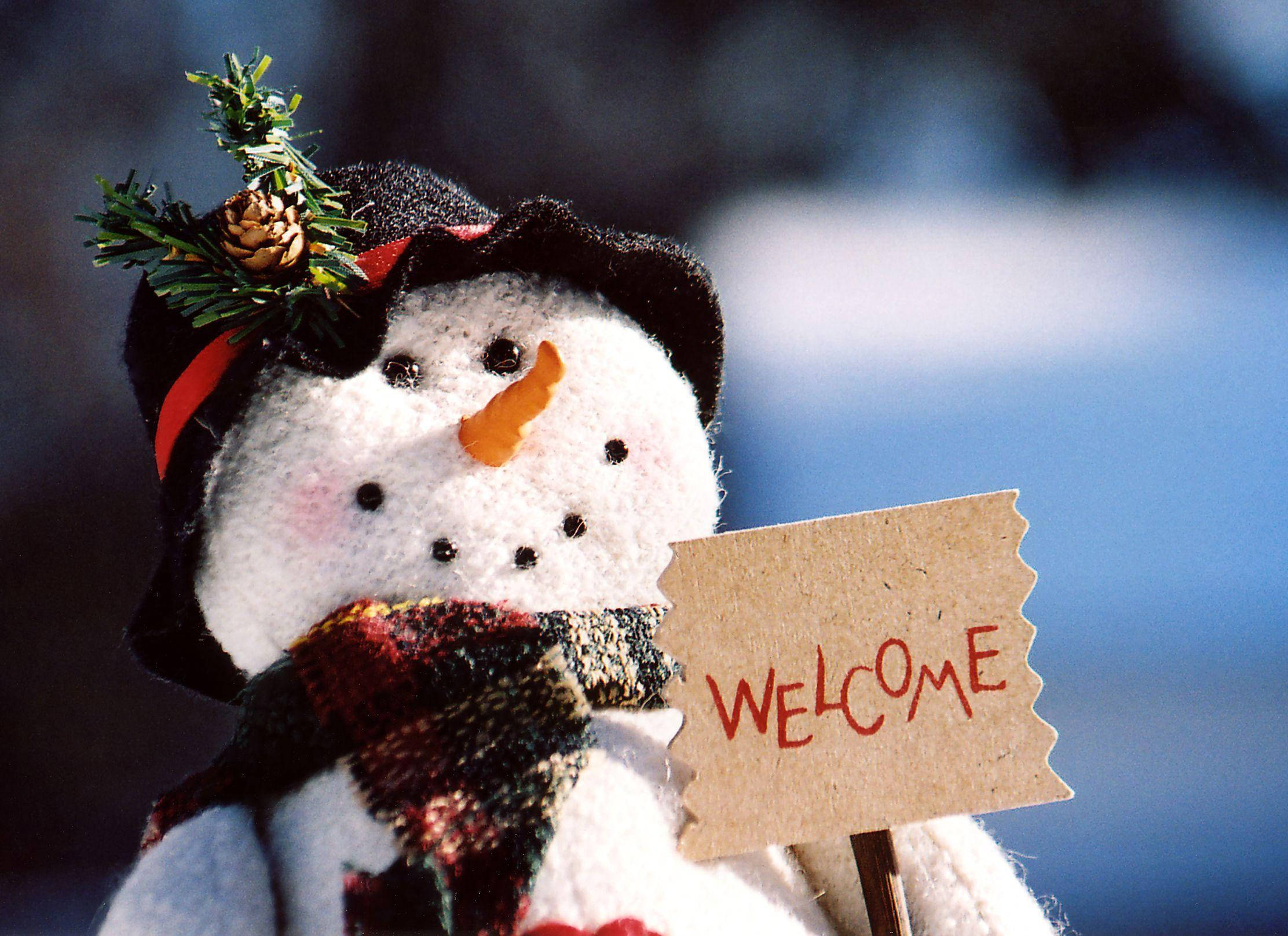 Welcome 桌布 壁紙 — 手工雪人公仔的特寫，戴著黑色帽子，帽子上有松果和常青樹枝，拿著一塊破爛的紙板牌子，上面寫著歡迎。