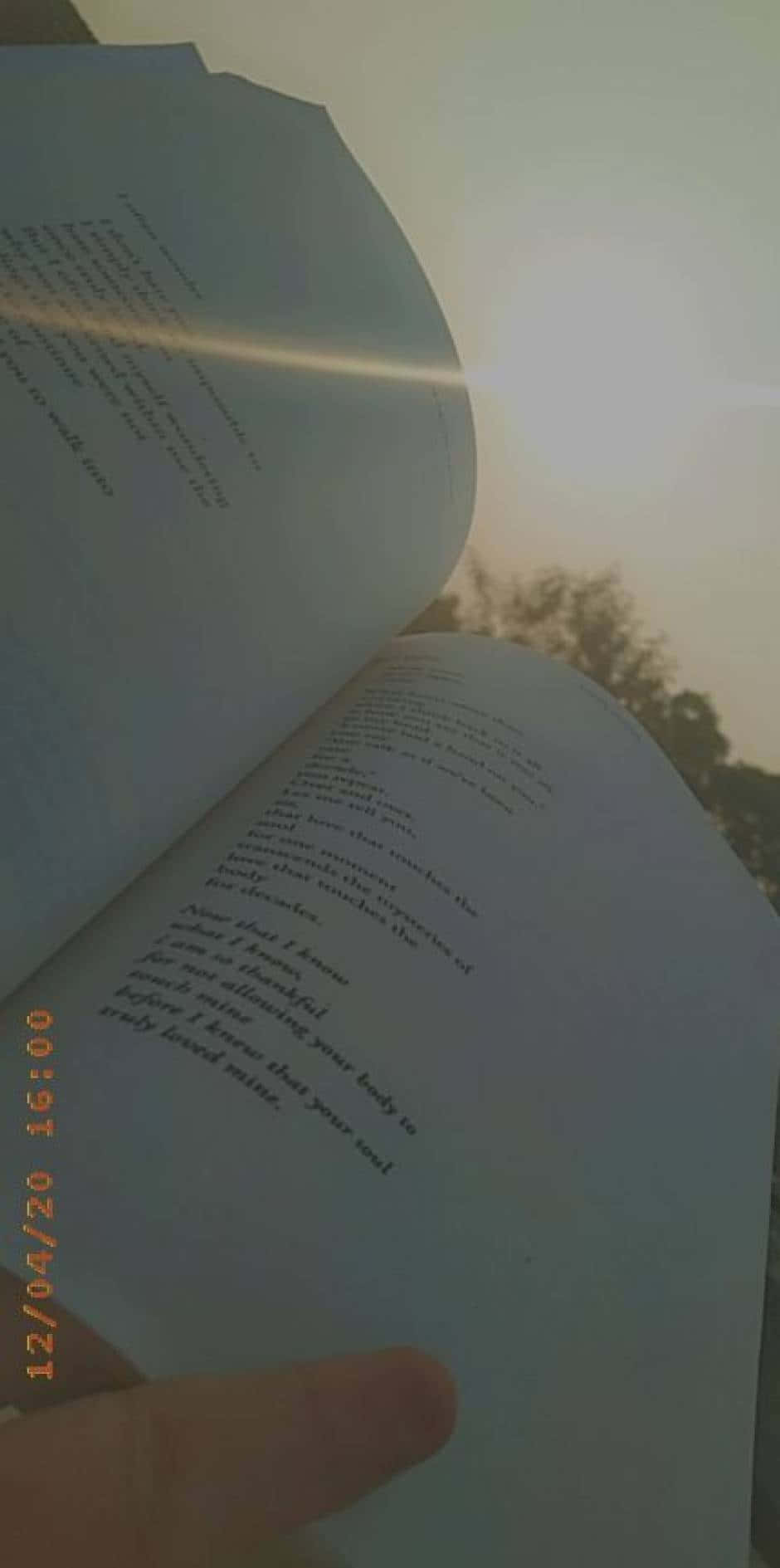 「手捧一本書，讓想像力盡情奔馳。」 壁紙
