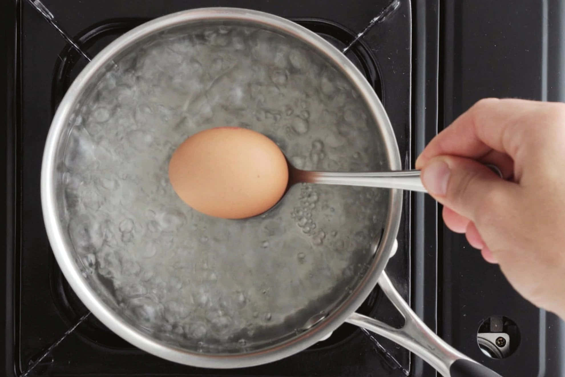 Egg 桌布 壁紙 — 手用湯匙將棕色雞蛋放入爐上的滾水鍋中。