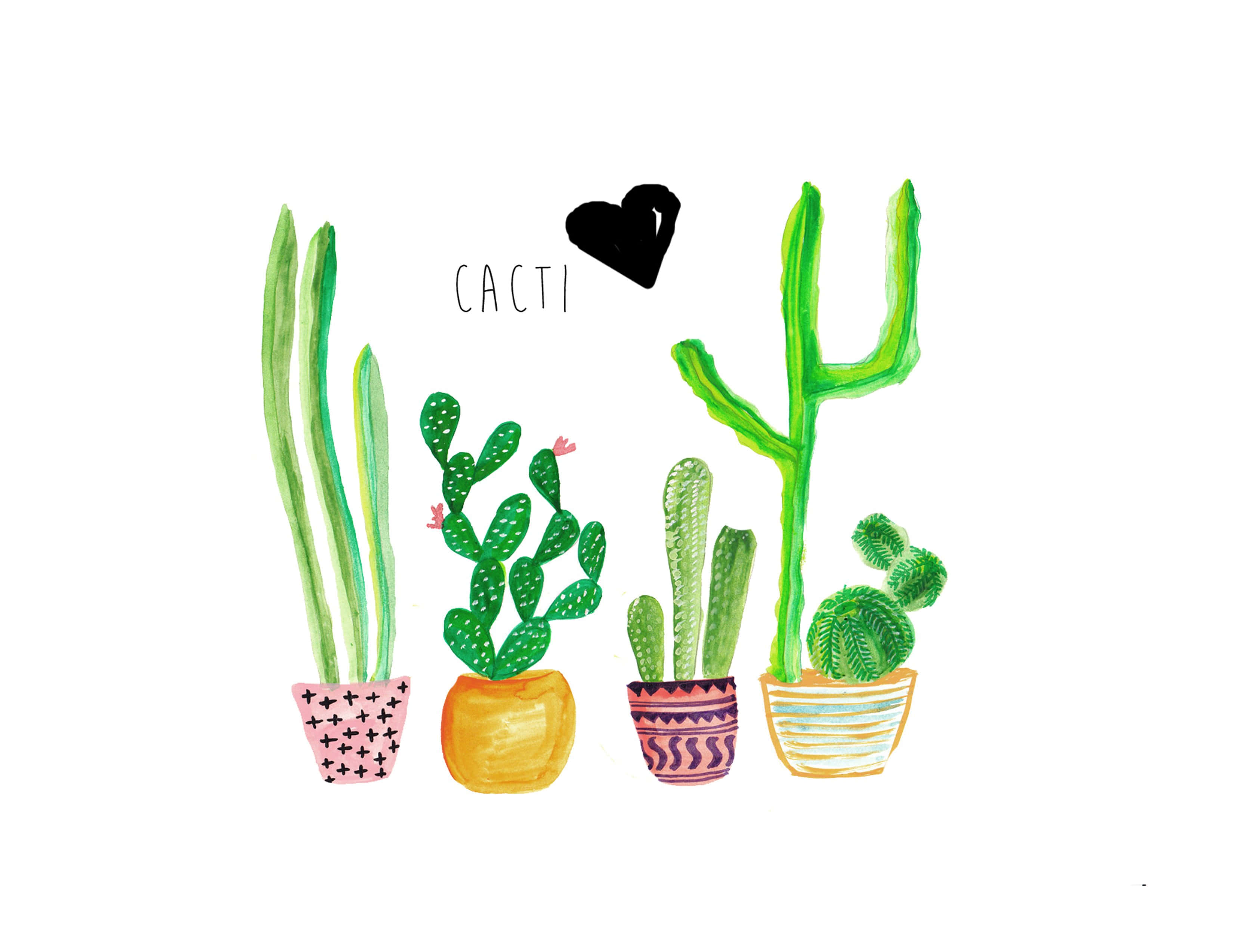 Cute Cactus 桌布 壁紙 — 手繪水彩插圖，五盆盆栽仙人掌，帶有彩色圖案花盆，以及「cacti」字樣上方有一個黑色心形。
