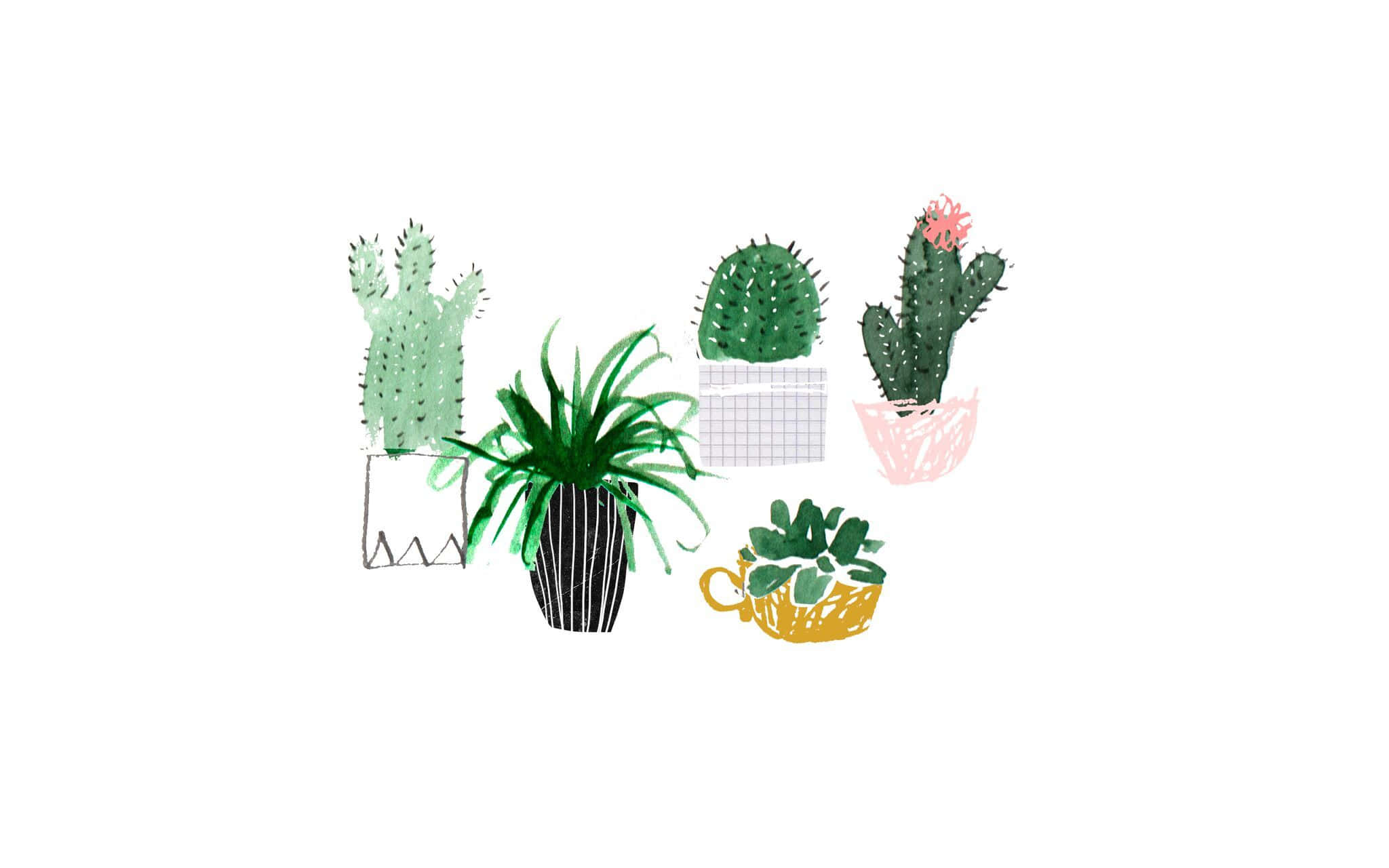 Plant Aesthetic 桌布 壁紙 — 手繪水彩插圖，描繪五盆盆栽植物，包括仙人掌和多肉植物，放在色彩繽紛的花盆中，背景為白色。