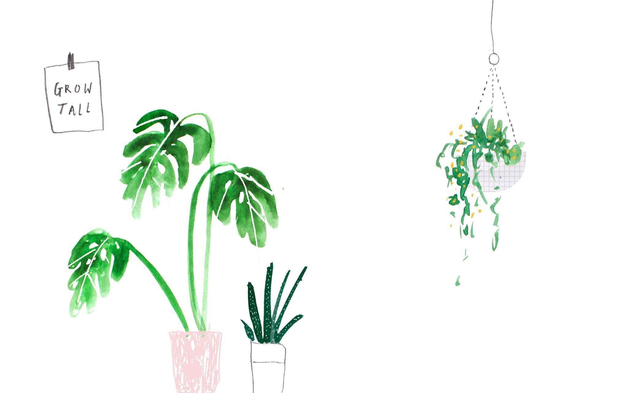 美學 桌布 壁紙 — 手繪水彩插圖，盆栽龜背竹和懸掛植物，附有「GROW TALL」標誌。