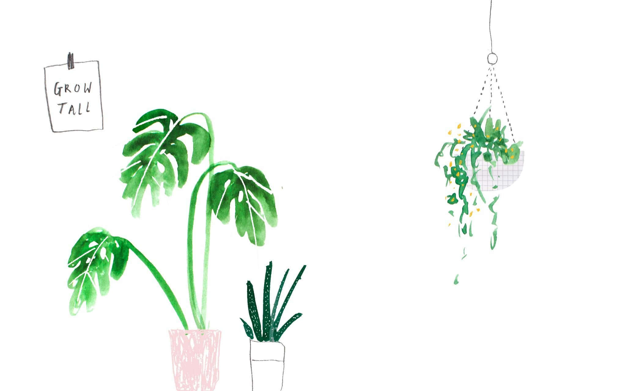 漂亮的動圖 桌布 壁紙 — 手繪水彩插圖，盆栽龜背竹和懸掛植物，附有'GROW TALL'標誌。