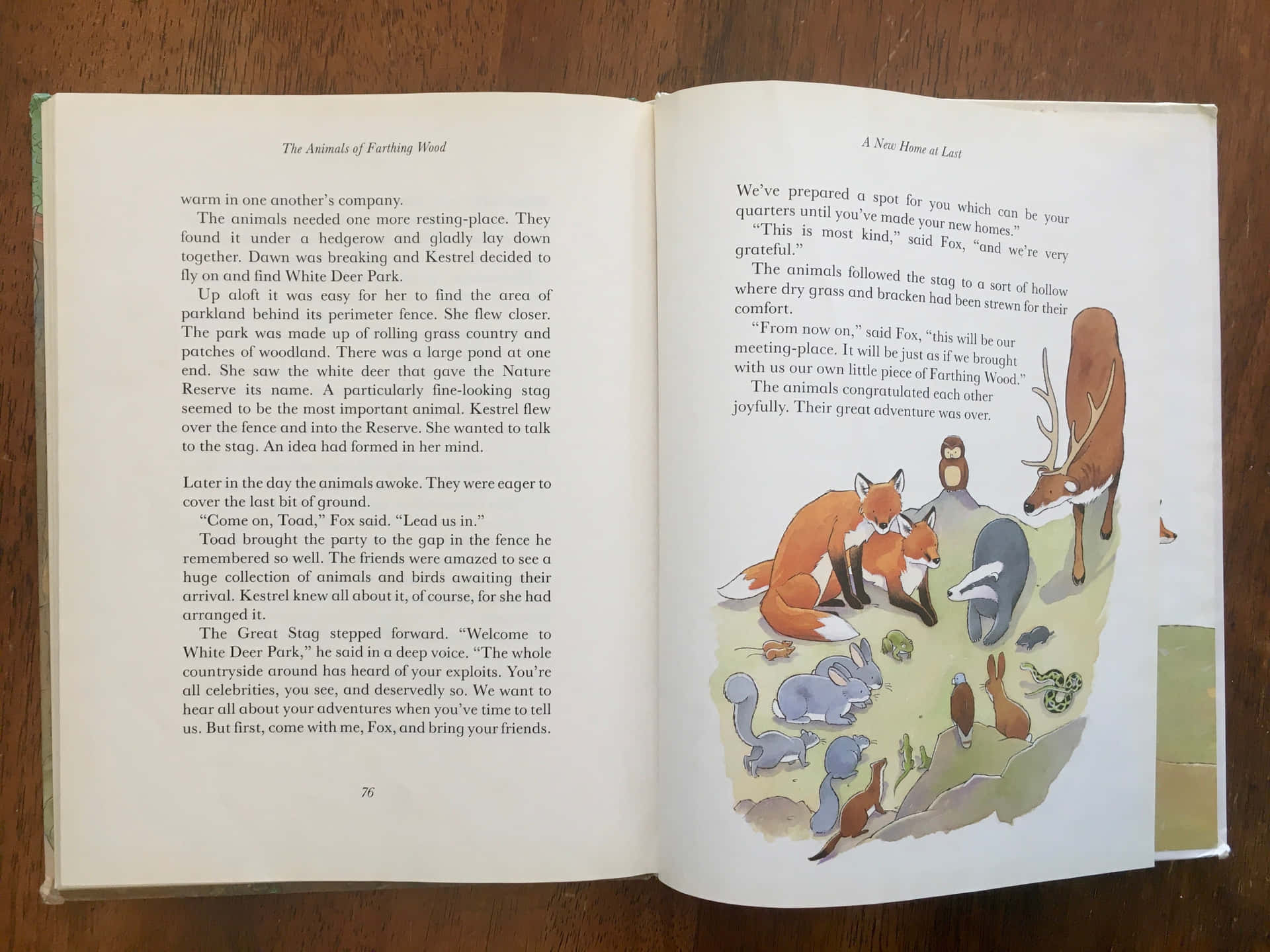 書本 桌布 壁紙 — 打開的兒童書頁展示插圖森林動物聚集在草地上的一隻雄鹿周圍。