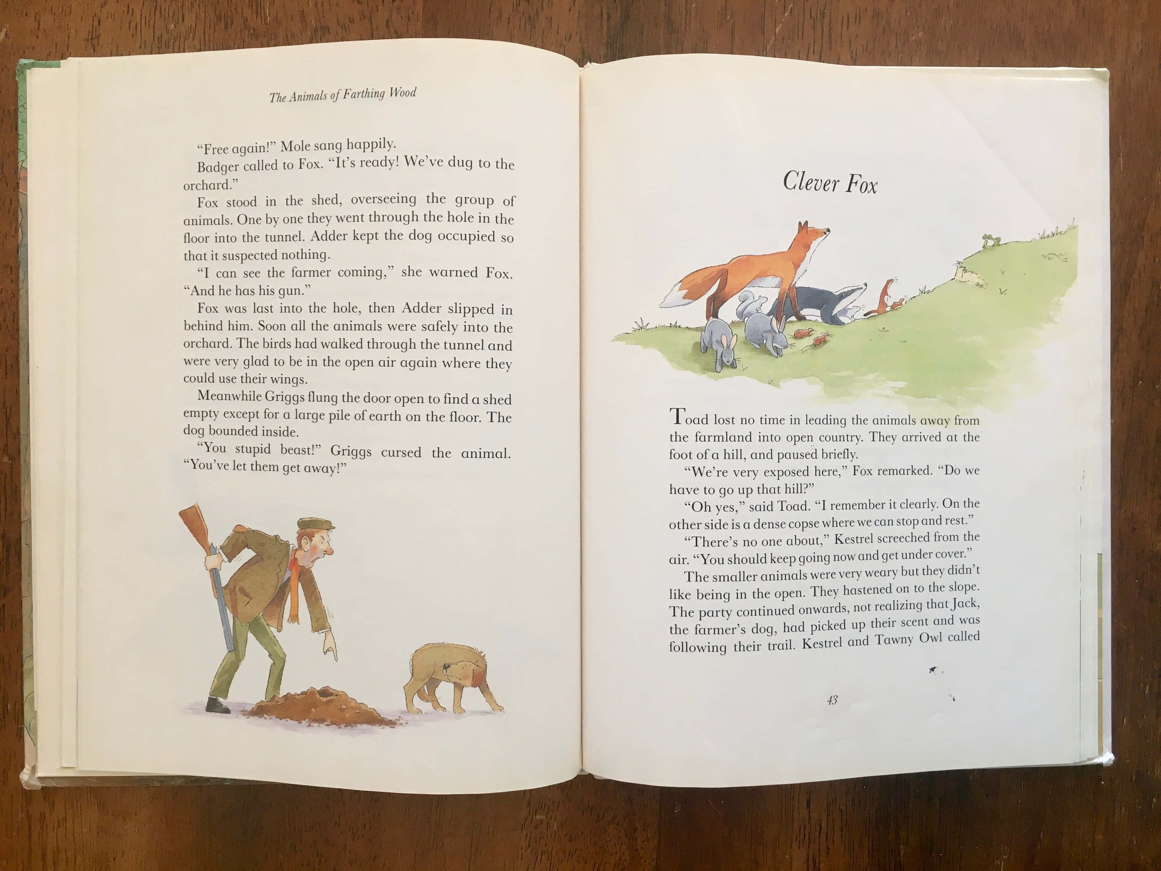 animals 桌布 壁紙 — 打開的兒童書頁展示插圖狐狸和農夫，文字來自《The Animals of Farthing Wood》。
