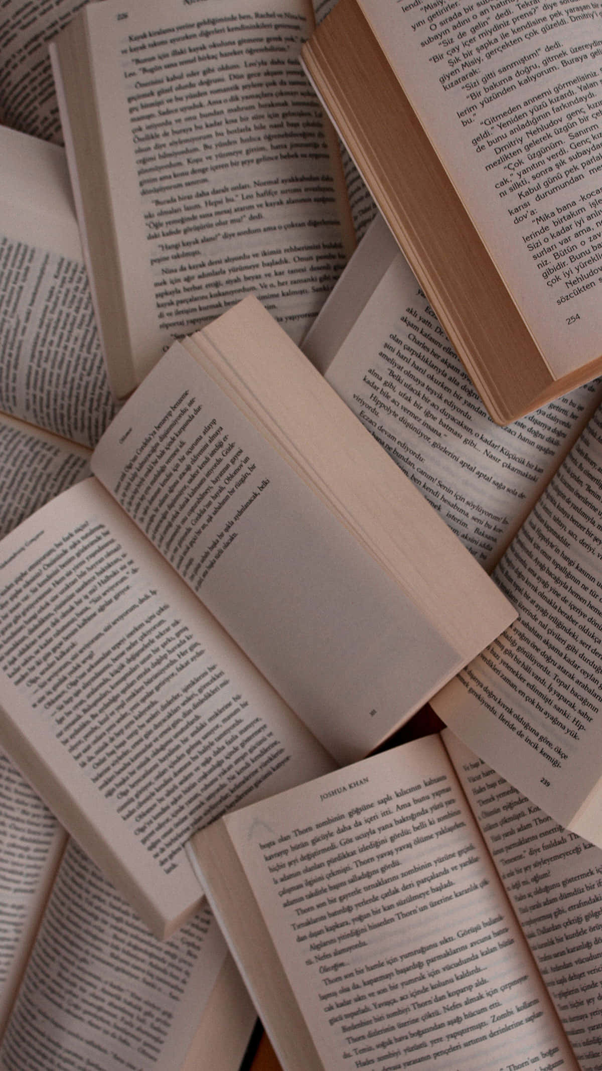 Aesthetic Books 桌布 壁紙 — 打開的書本，密集的文字頁面散落在柔軟有紋理的表面上，沐浴在溫暖的自然光中。
