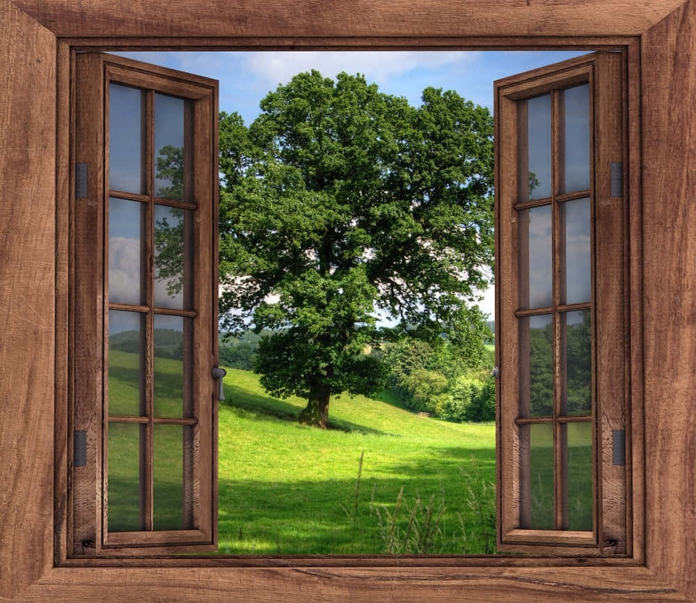 window 桌布 壁紙 — 打開的木窗框框住一片茂盛的綠色草地，草地上一棵枝葉繁茂的大樹，背景是明亮的藍天。