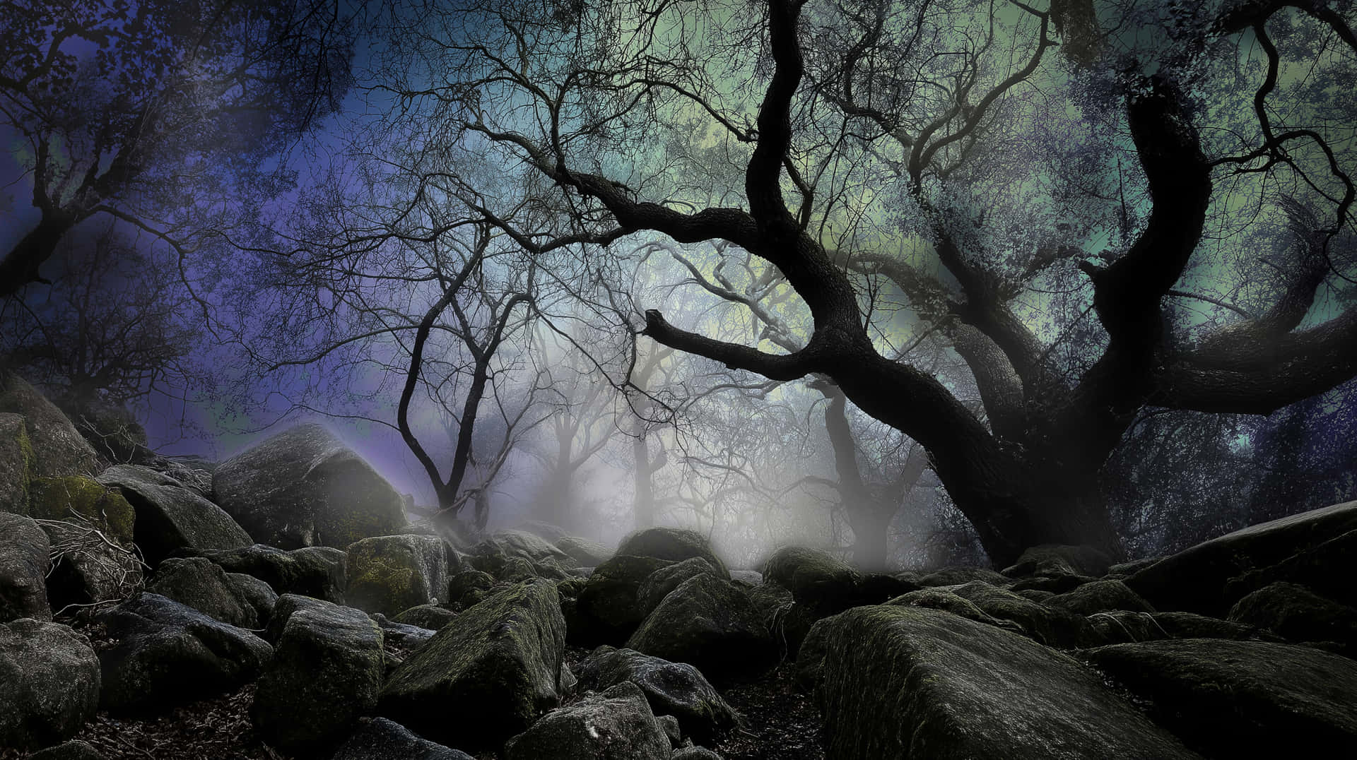 Fairy Tale Forest with Misty Rocks and Twisted Trees 壁紙 — 扭曲的裸樹聳立在霧氣瀰漫的岩石上，天空呈現紫色和藍綠色的暮色。