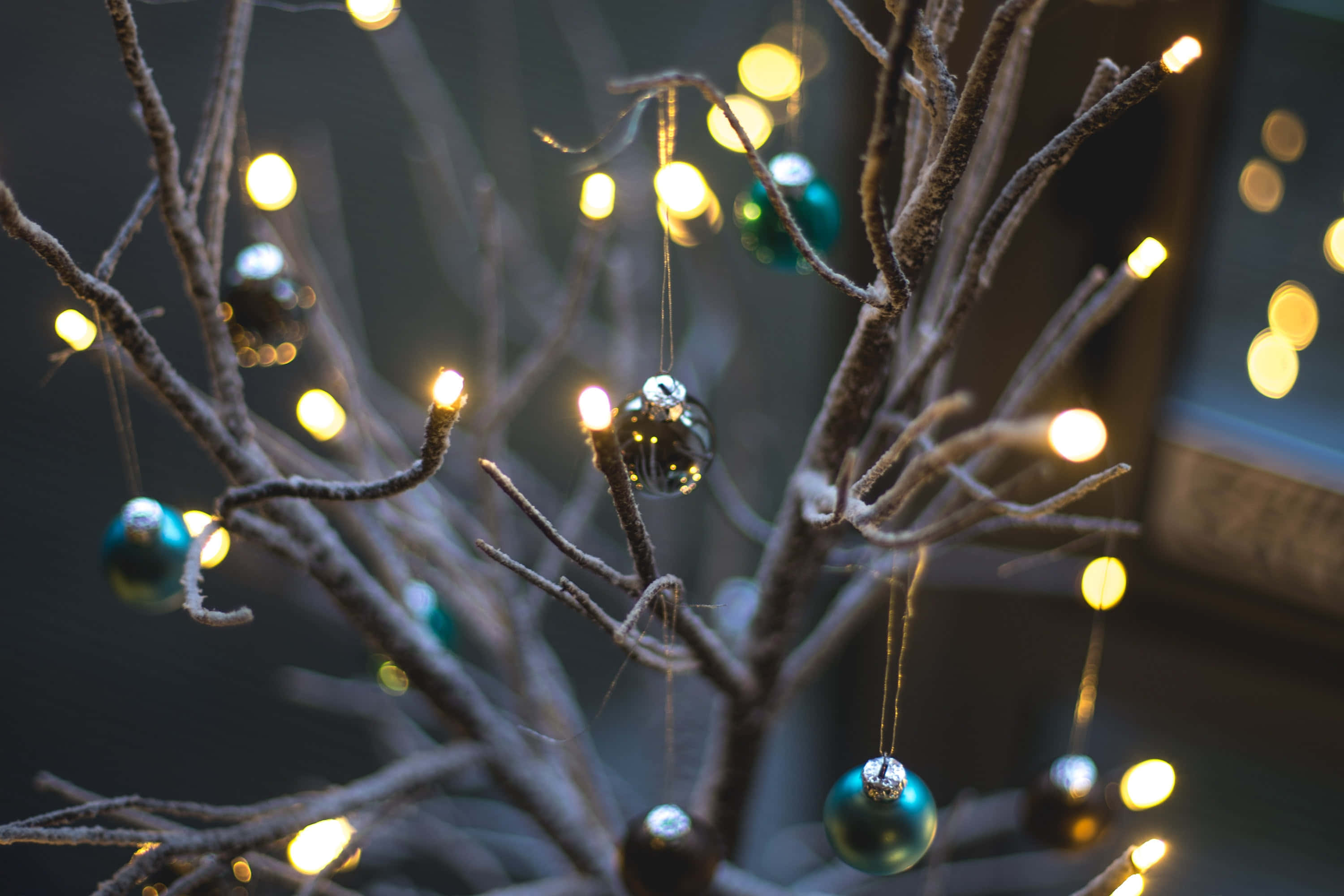 Christmas Light 桌布 壁紙 — 扭曲的裸露樹枝上裝飾著閃爍的仙女燈和閃亮的青綠色飾品，營造出溫馨的節日氣氛。