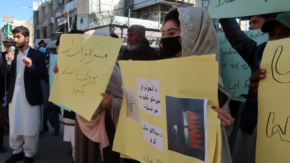 Taliban 桌布 壁紙 — 抗議者在陽光明媚的城市街道上舉著帶有波斯語文字和圖片的黃色標語牌，要求教育權利。