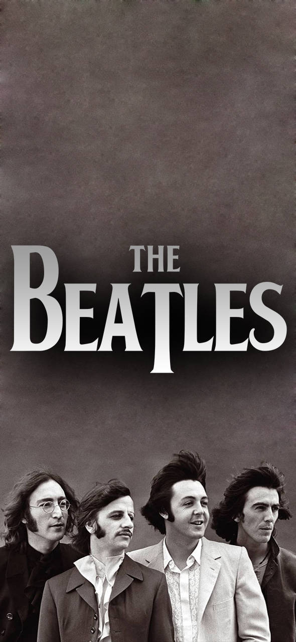 the beatles 桌布 壁紙 — 披頭四經典黑白肖像，搭配粗體字型，置於紋理灰色背景上。