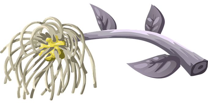 抽象植物插畫 壁紙