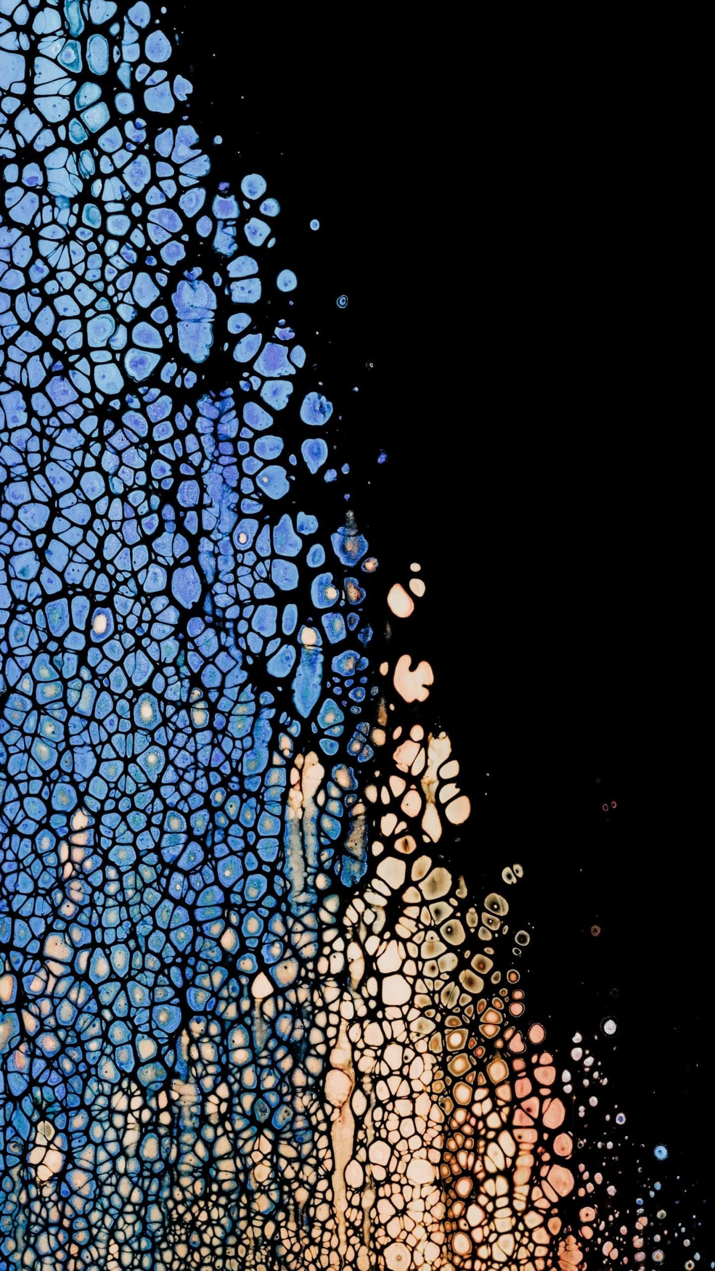 HD Oled 桌布 壁紙 — 抽象流體藝術，藍色和金色細胞圖案在純黑背景上流動。